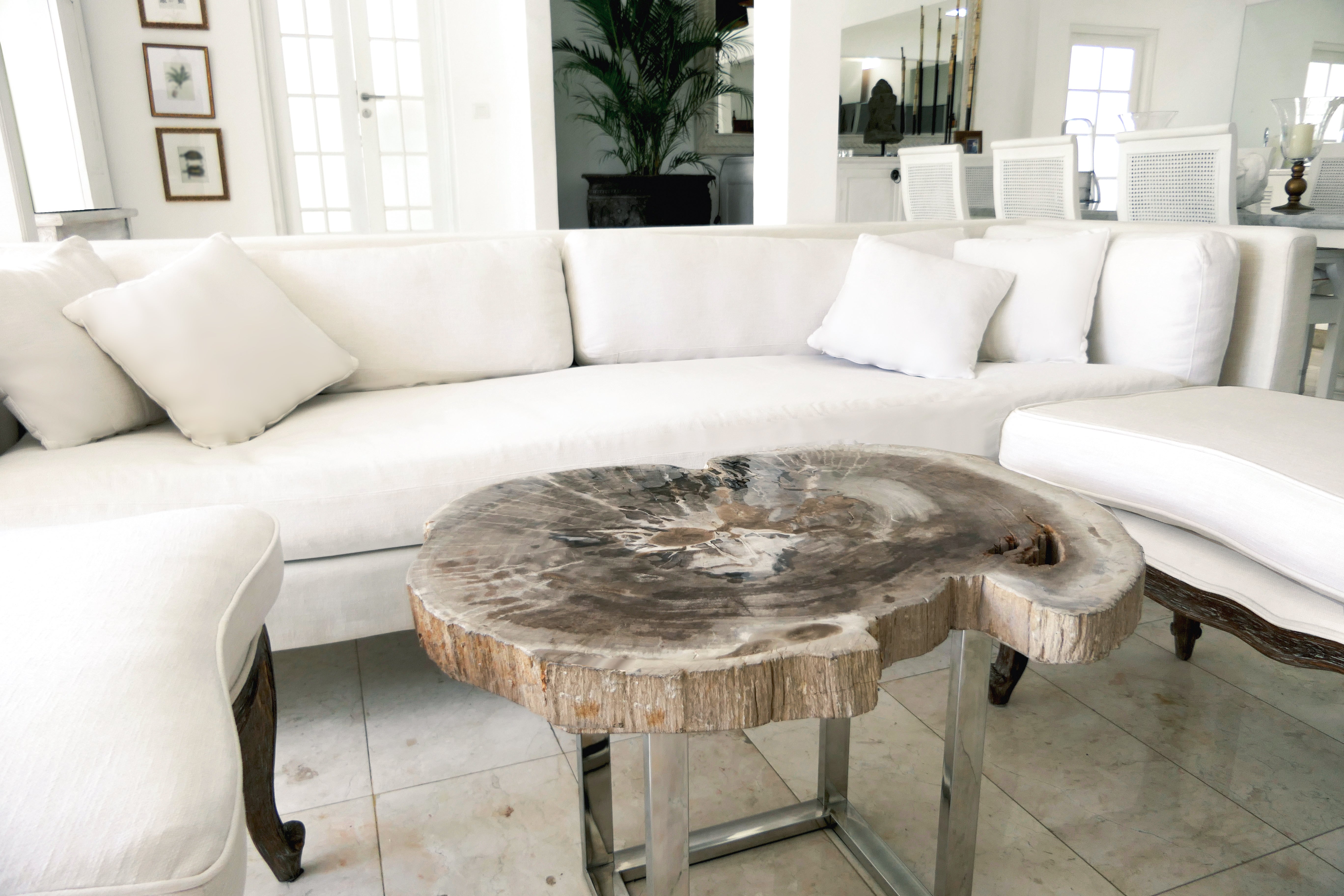 LEGNO PIETRIFICATO O FOSSILE ORIGINI E COLORI