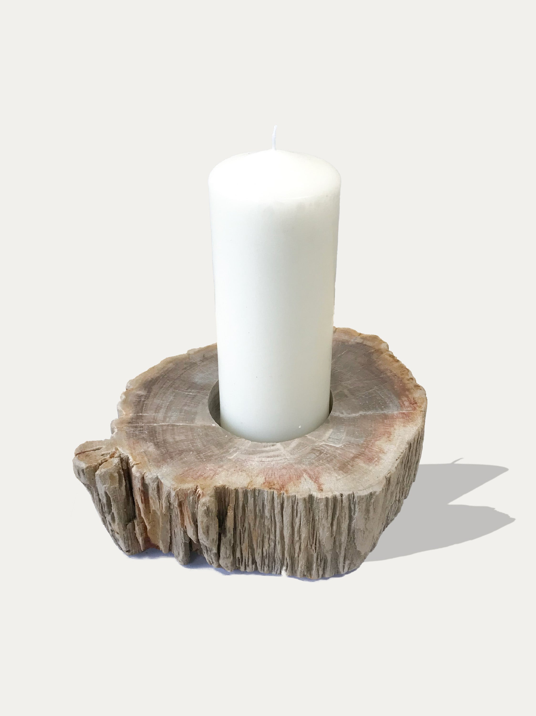 Large reversible candle holder in petrified wood