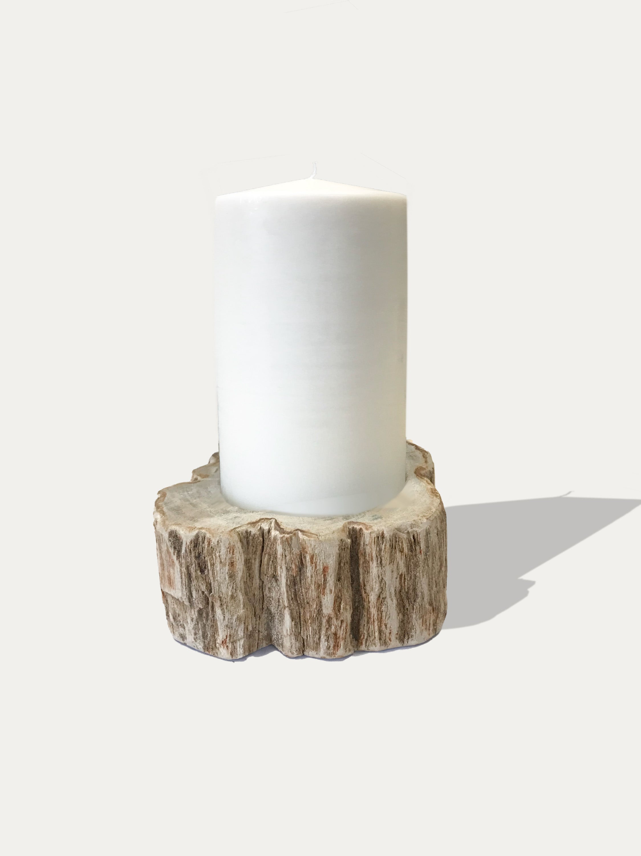 Large reversible candle holder in petrified wood