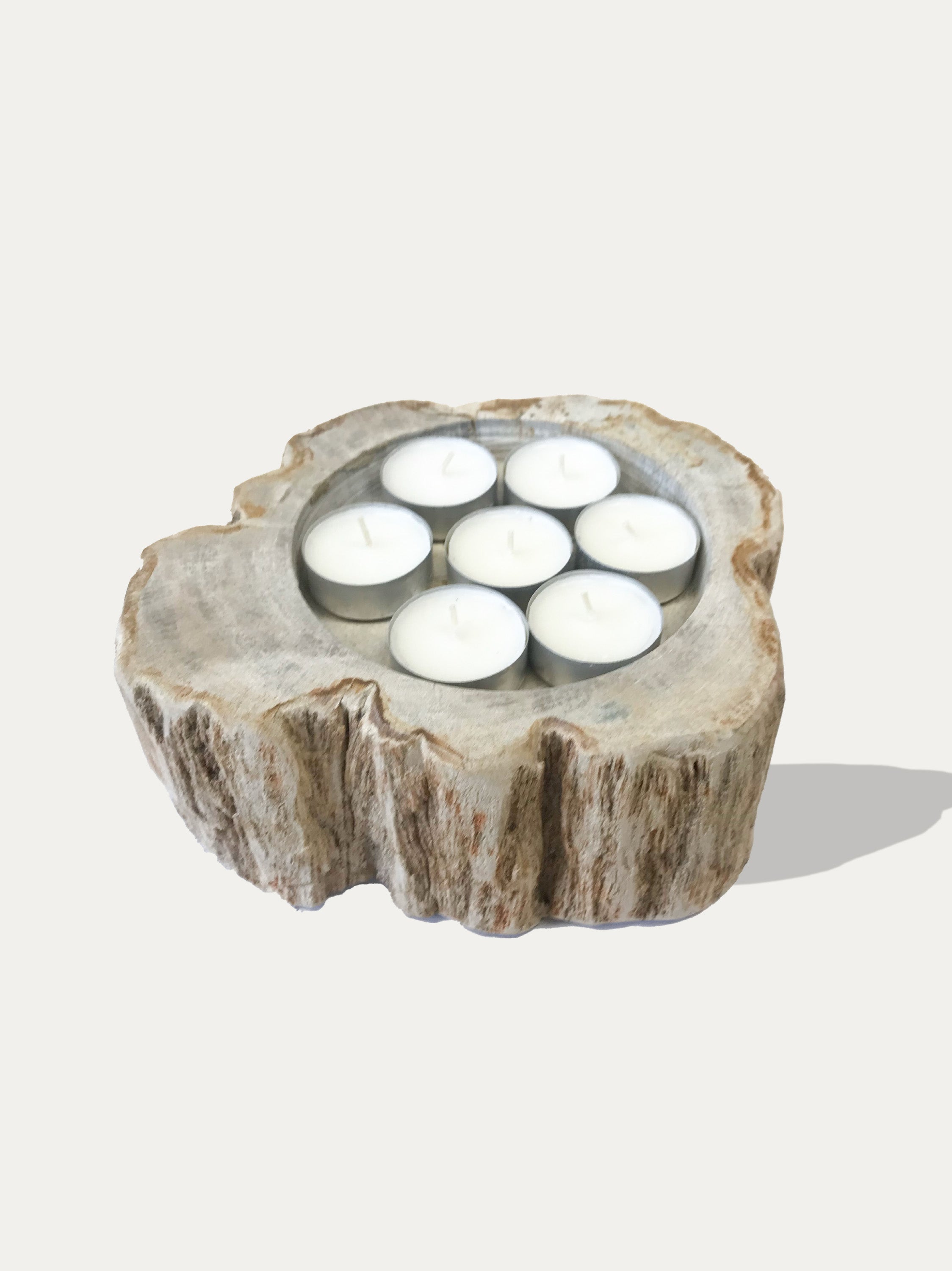 Large reversible candle holder in petrified wood