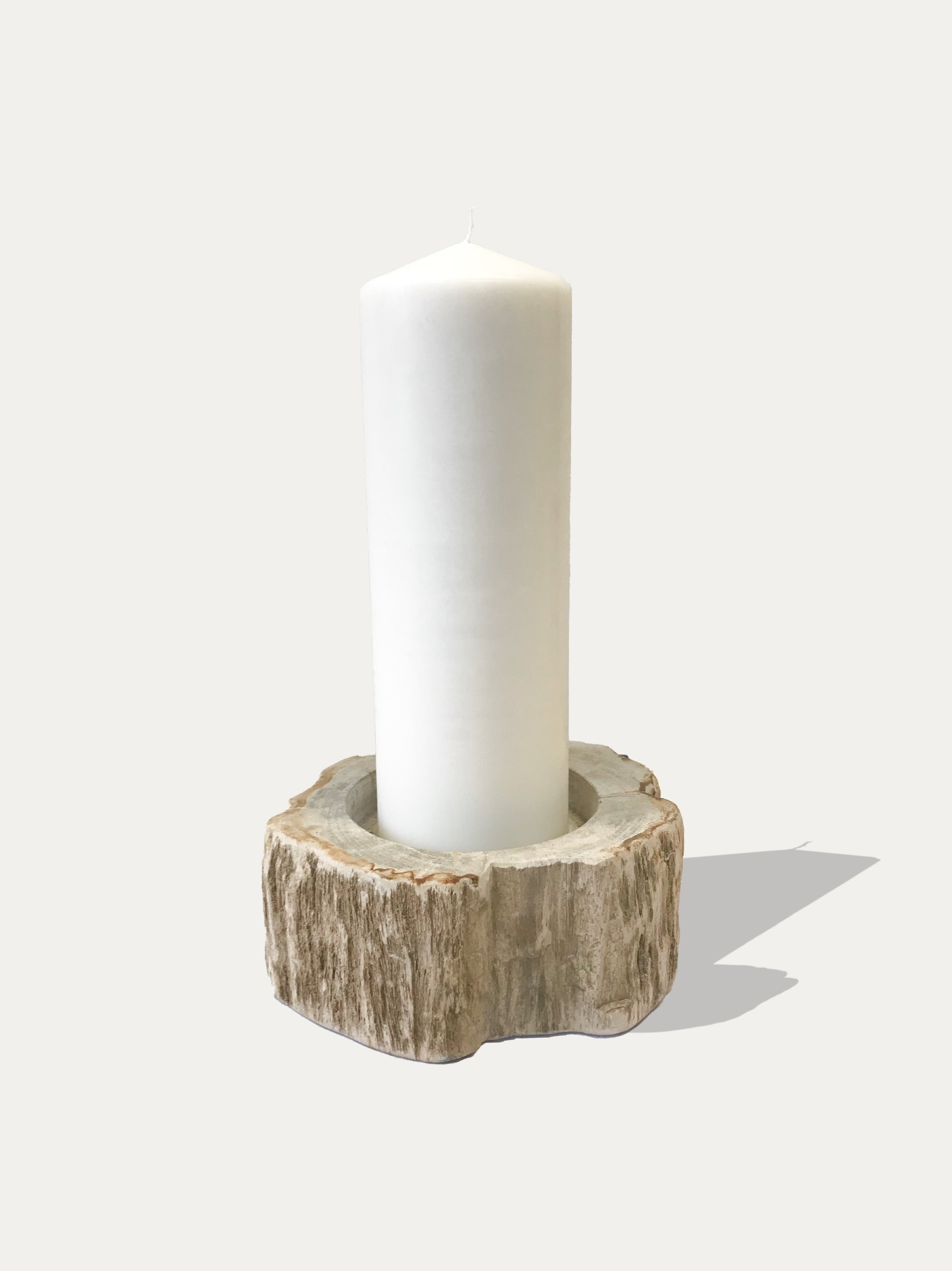 Large reversible candle holder in petrified wood