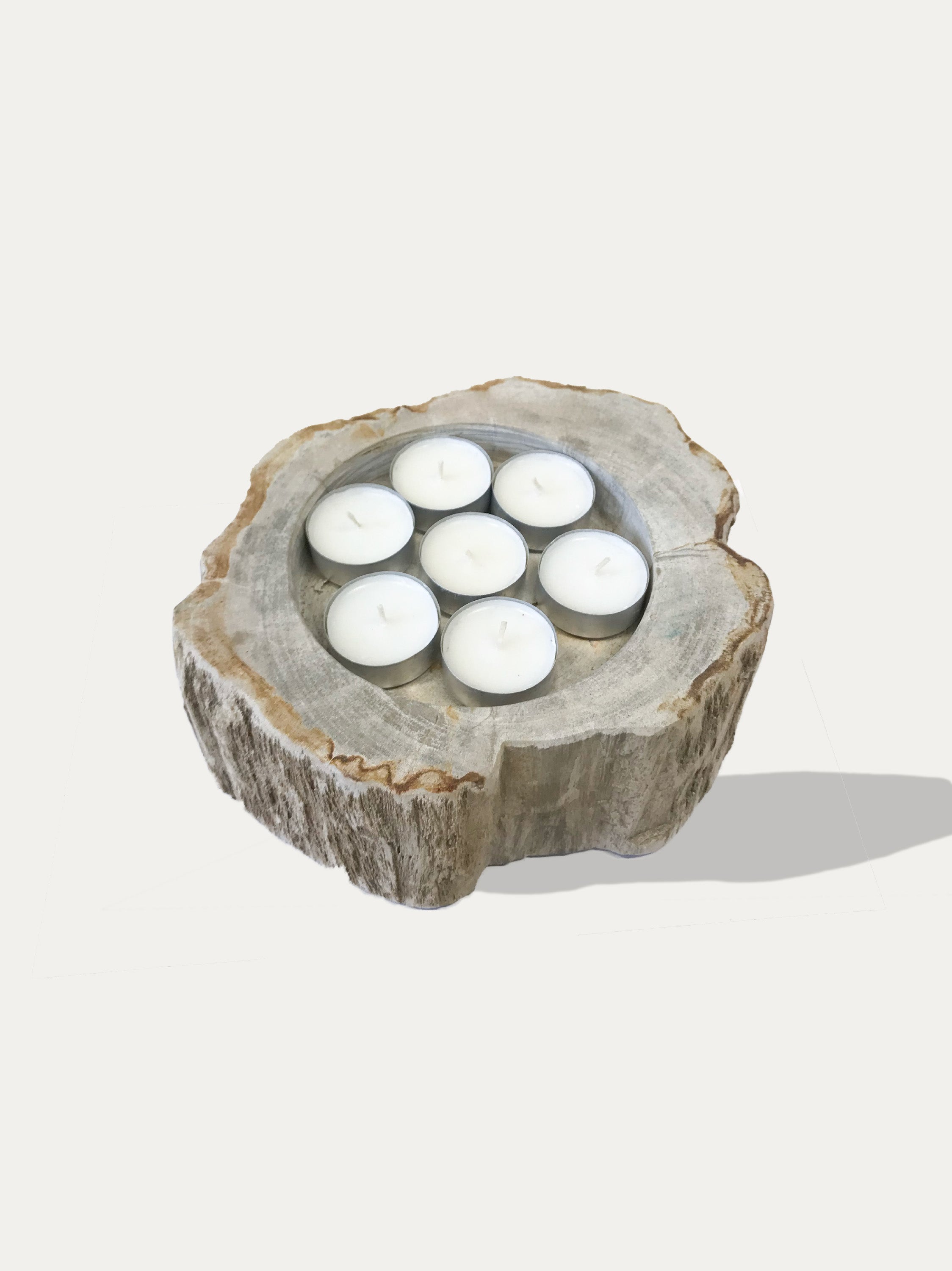 Large reversible candle holder in petrified wood