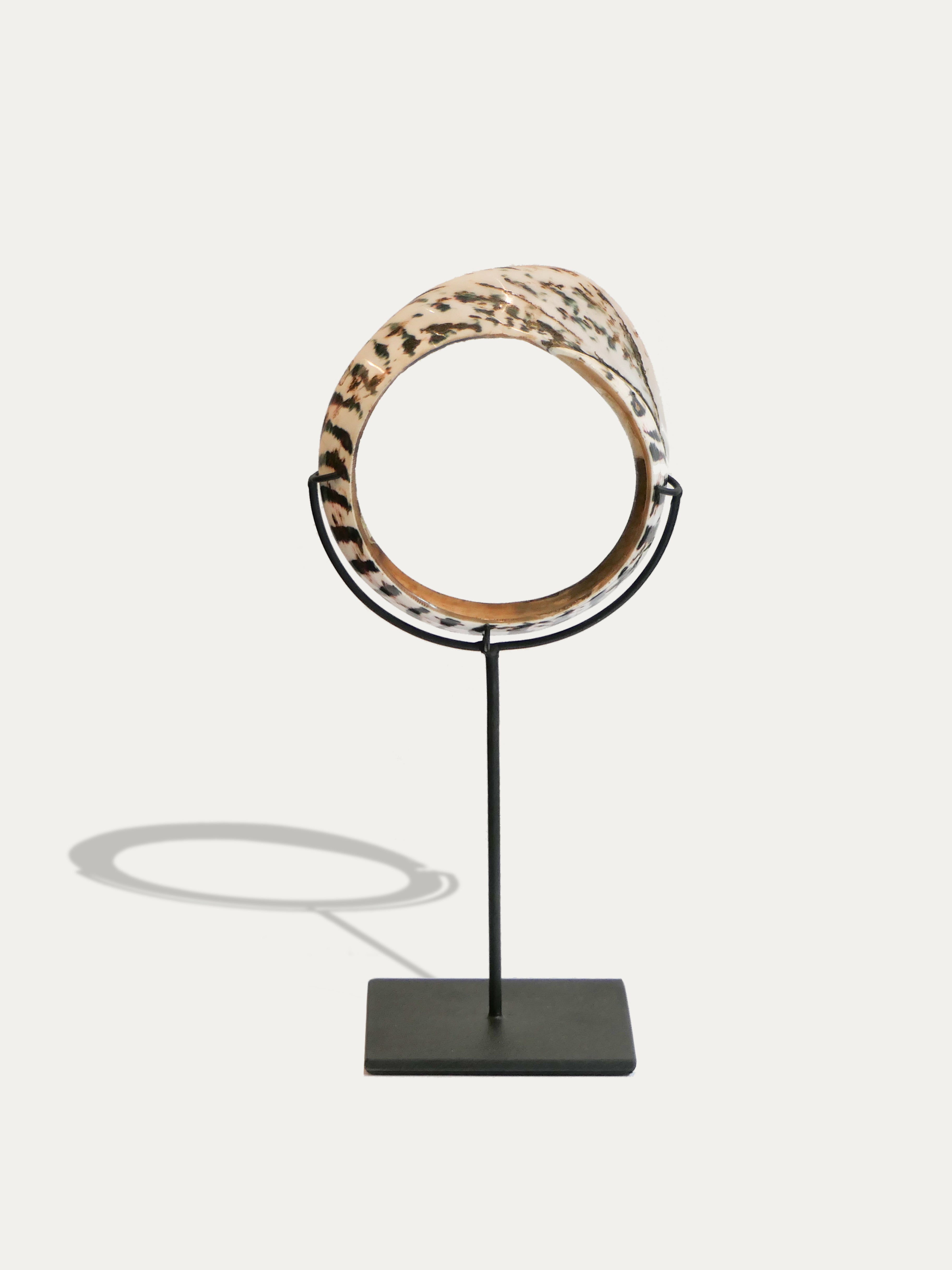 Shell money ring from Papua - Asian Art from Kirschon