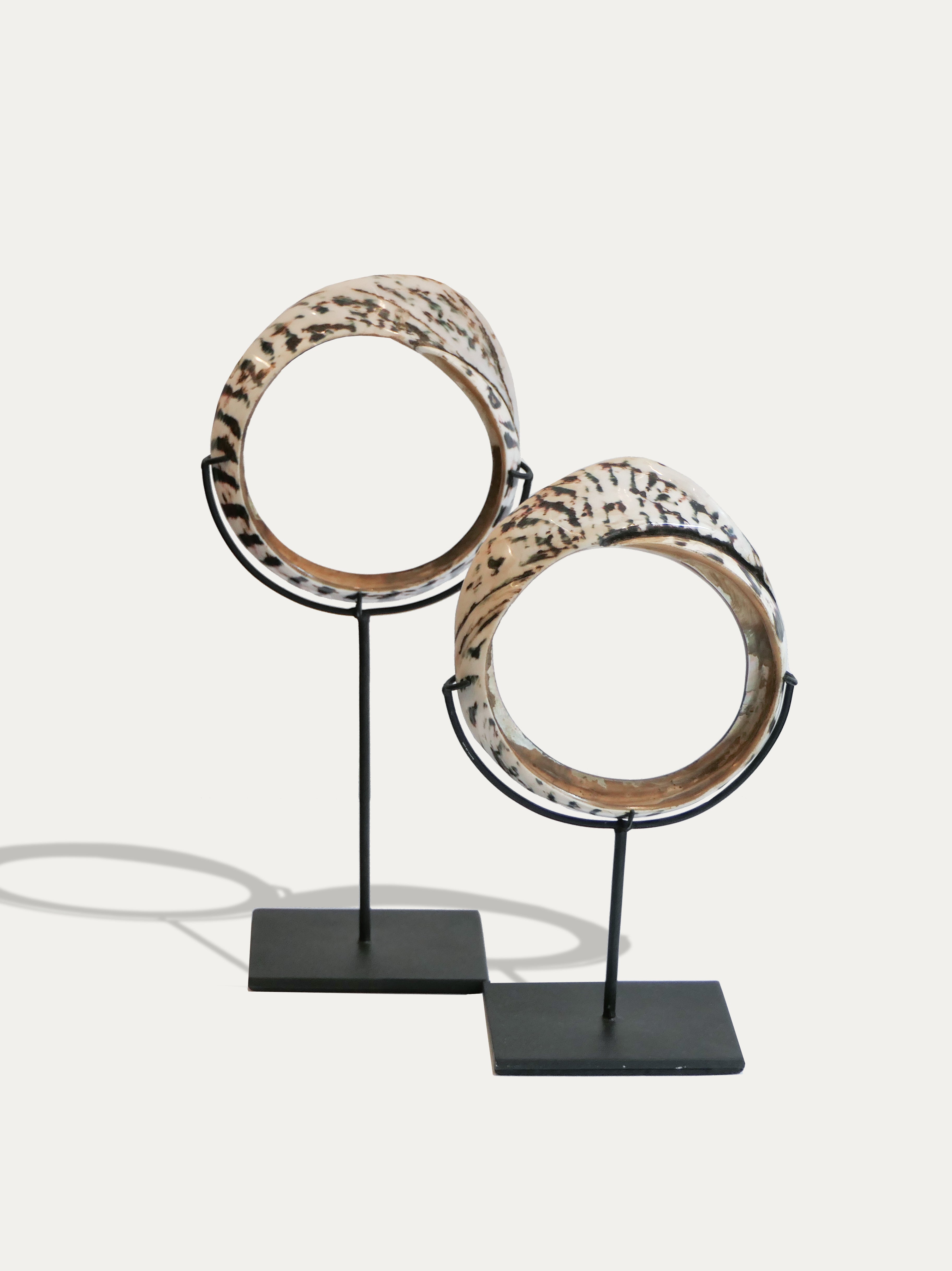 Shell money rings from Papua - Asian Art from Kirschon