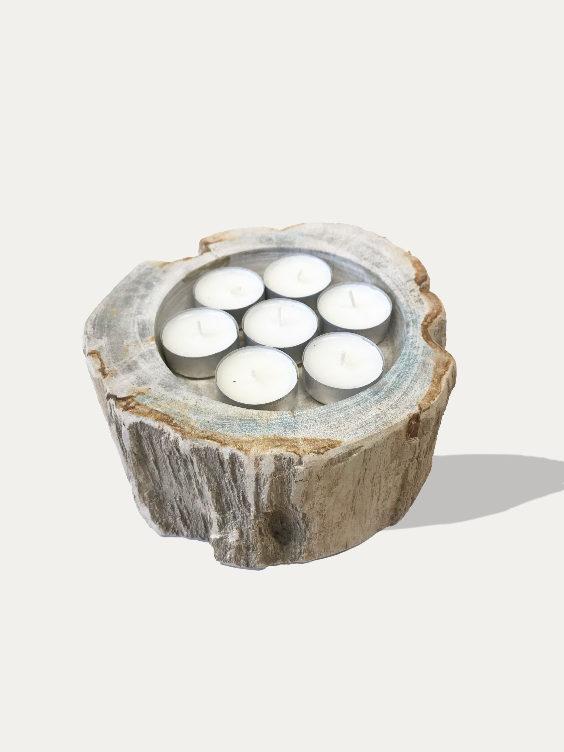 Large reversible candle holder in petrified wood