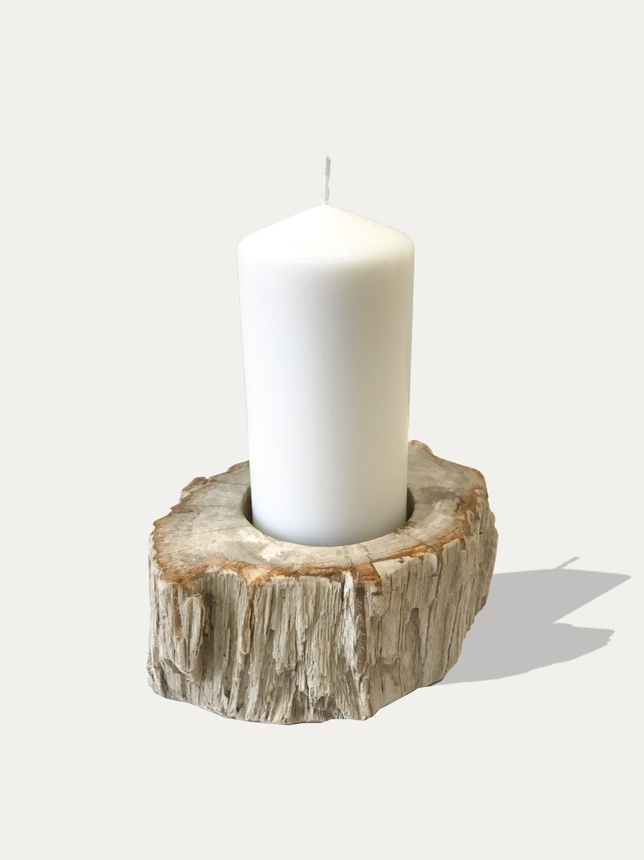 Reversible candle holder in petrified wood