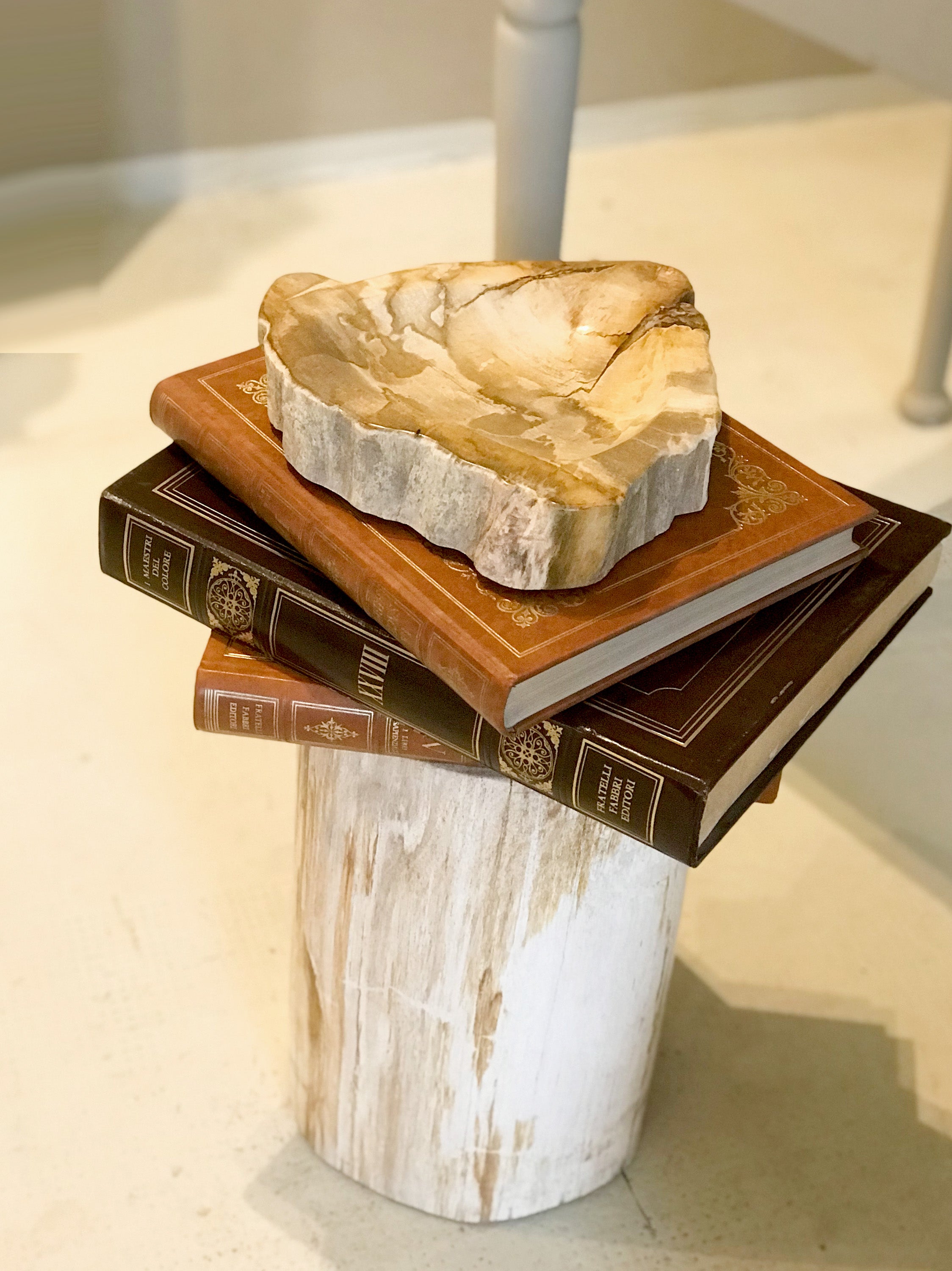 Petrified Wood Bowl - Enjoy Italy's largest collection of Petrified wood accessories!