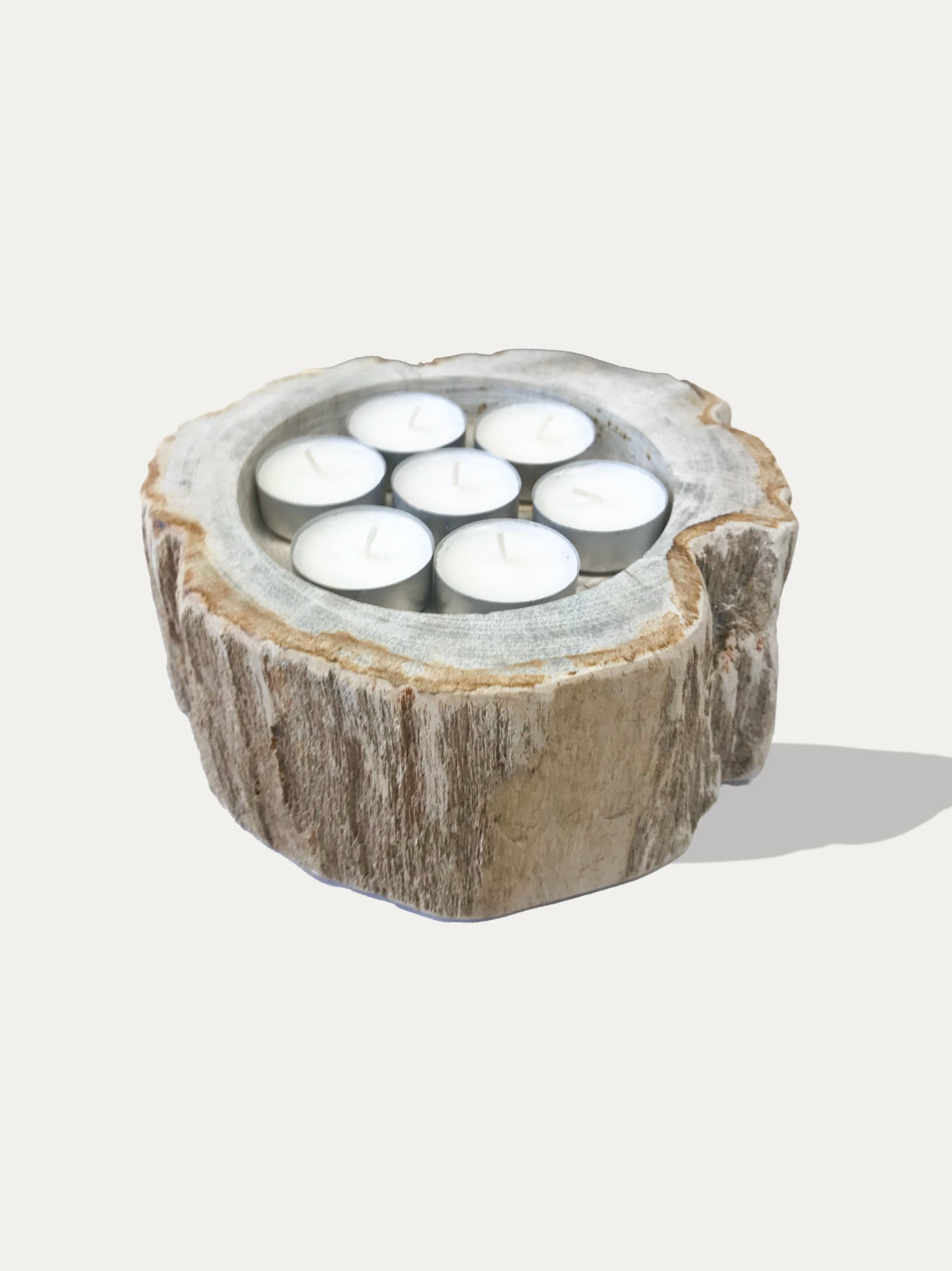 Large reversible candle holder in petrified wood