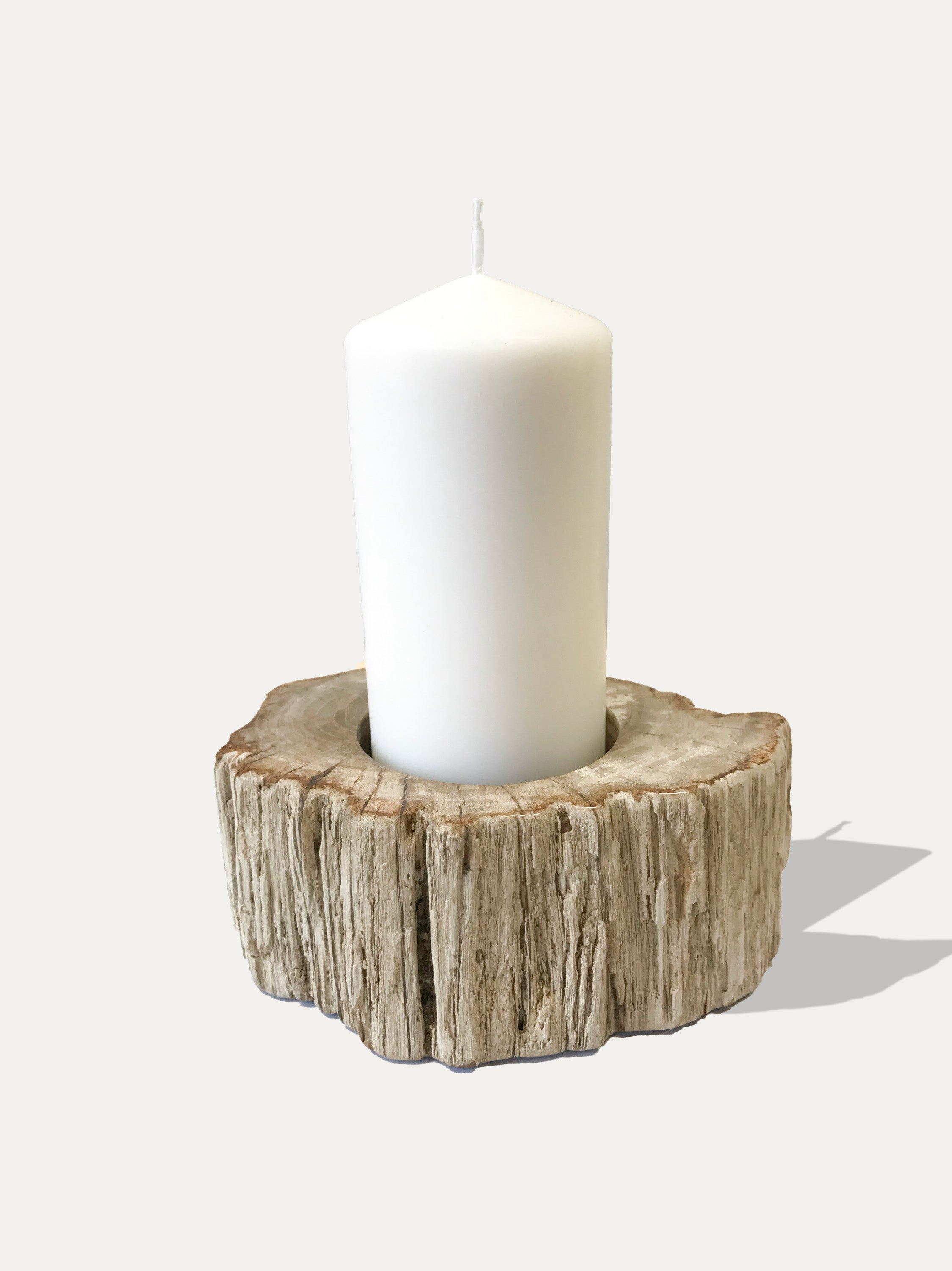 Reversible candle holder in petrified wood