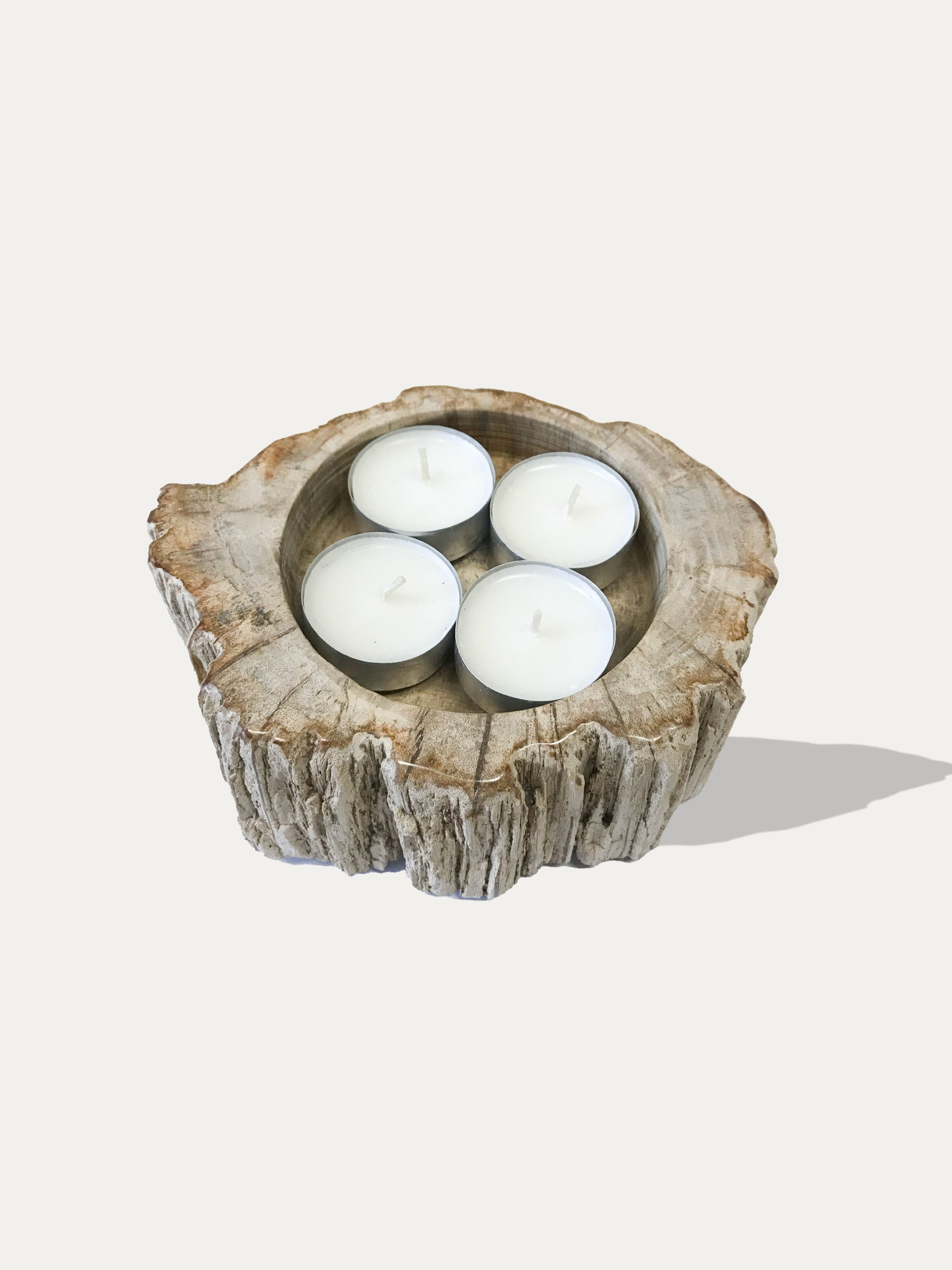 Reversible candle holder in petrified wood