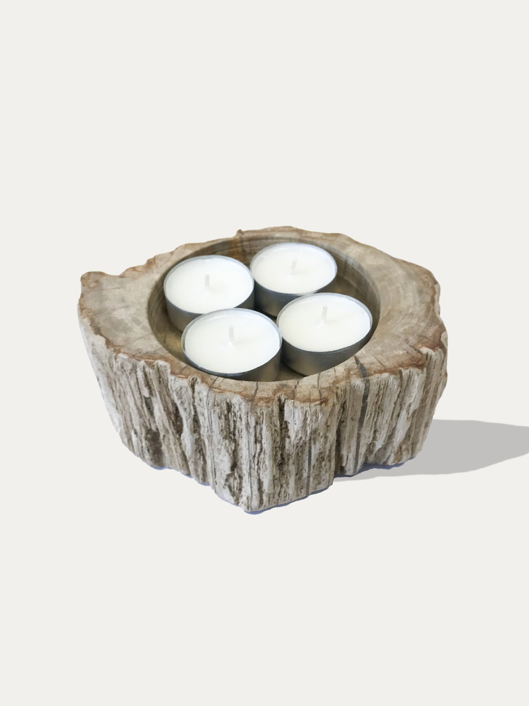 Reversible candle holder in petrified wood