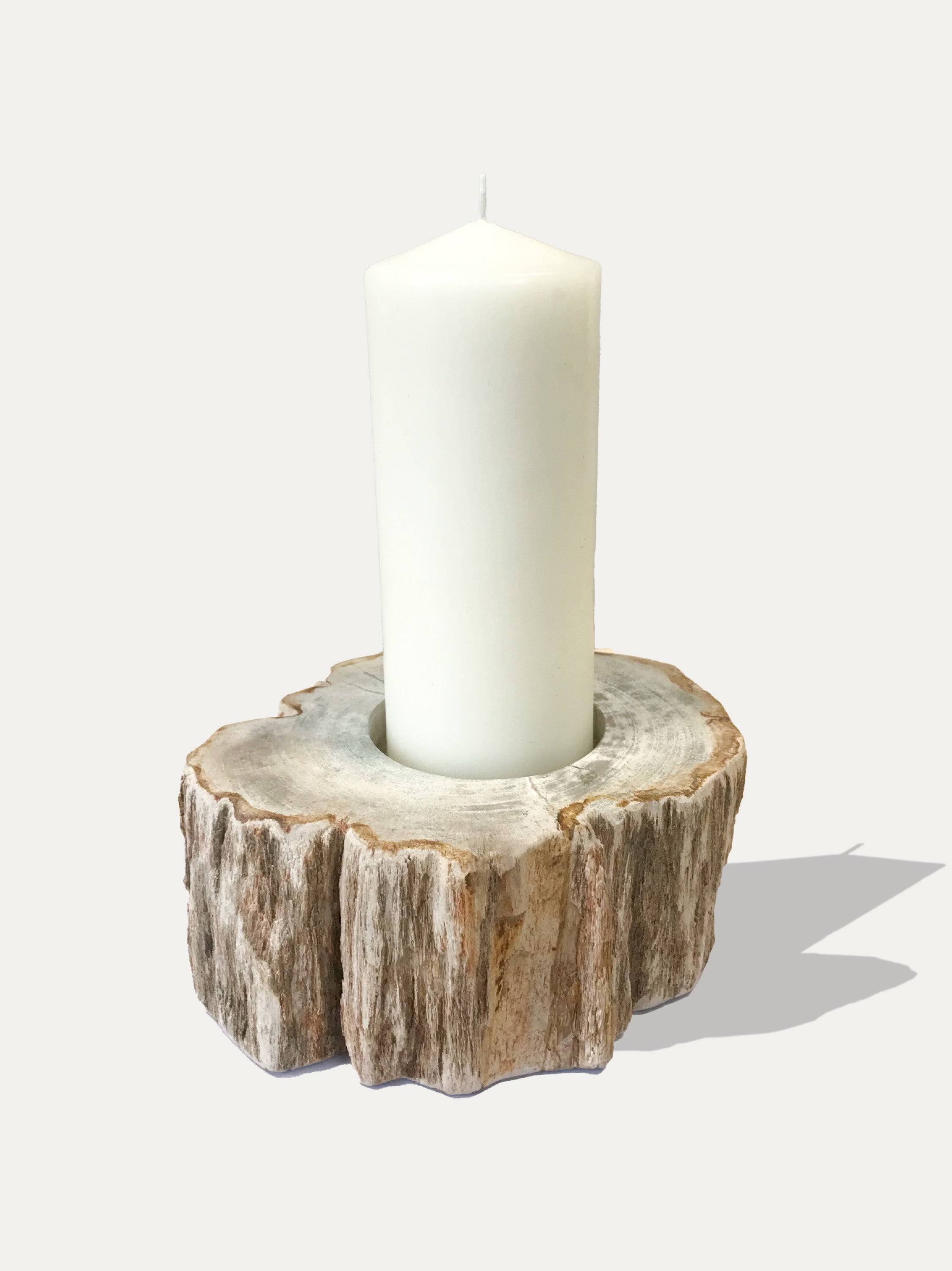 Large reversible candle holder in petrified wood