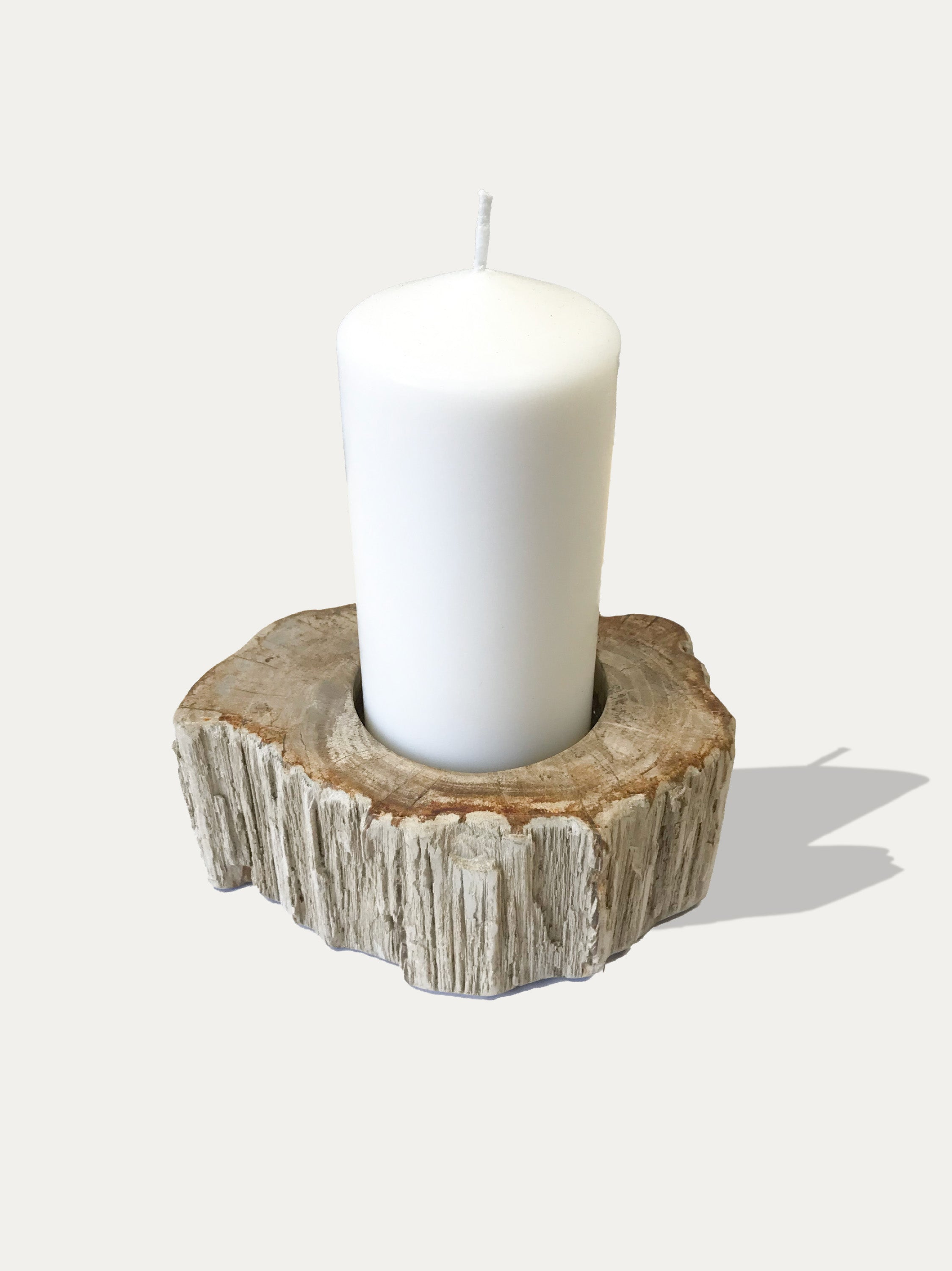 Reversible candle holder in petrified wood
