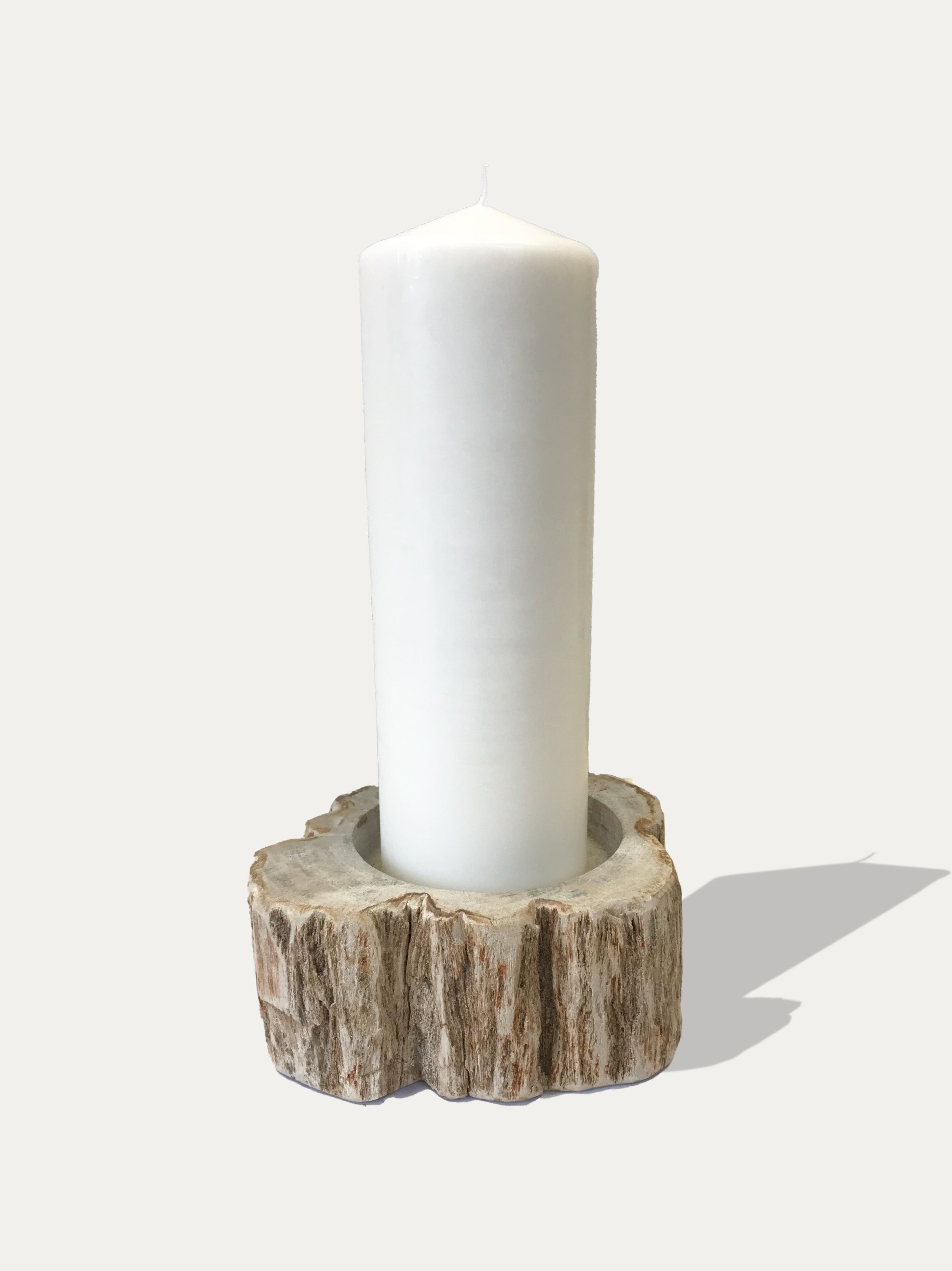 Large reversible candle holder in petrified wood