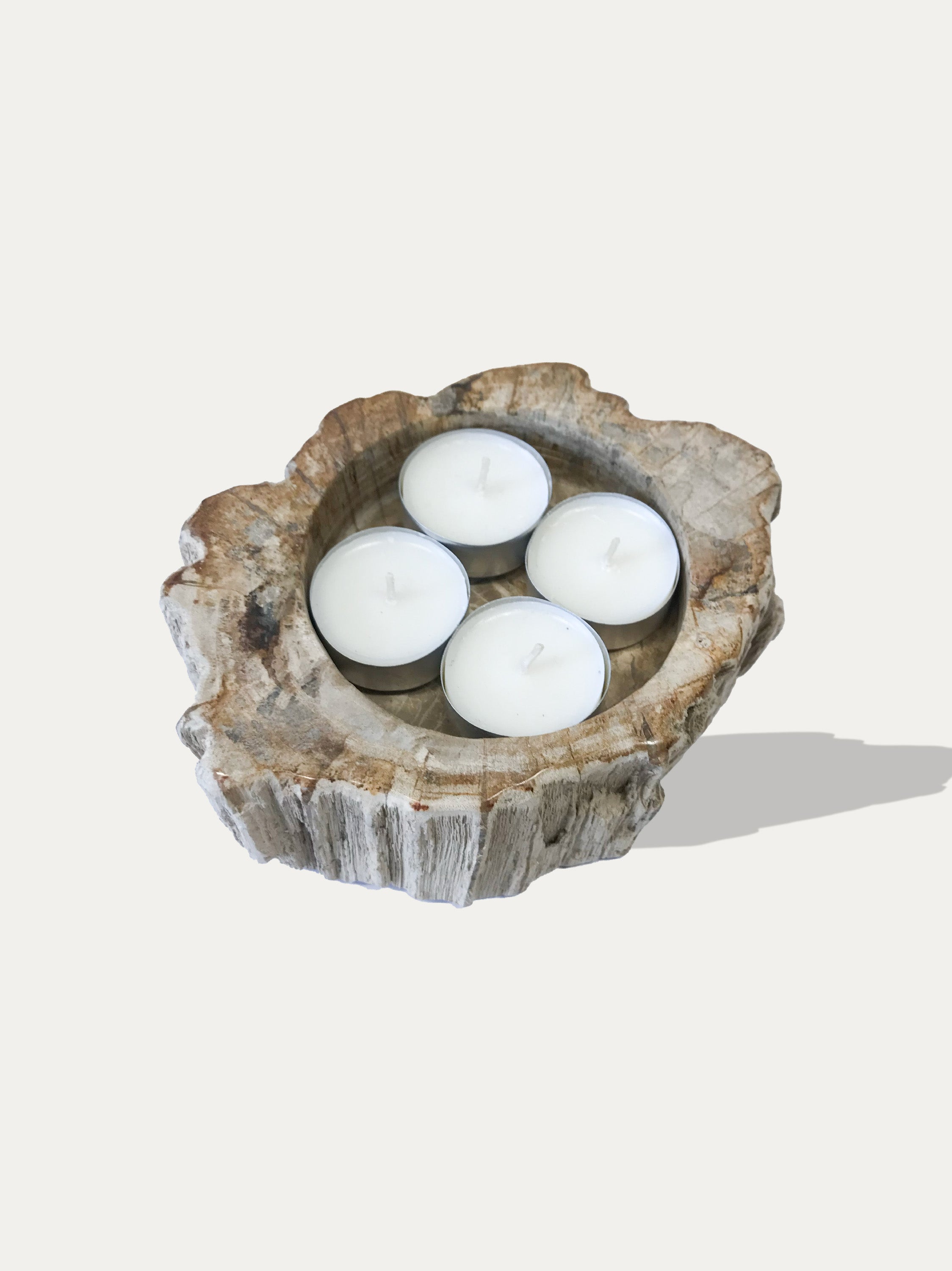 Reversible candle holder in petrified wood