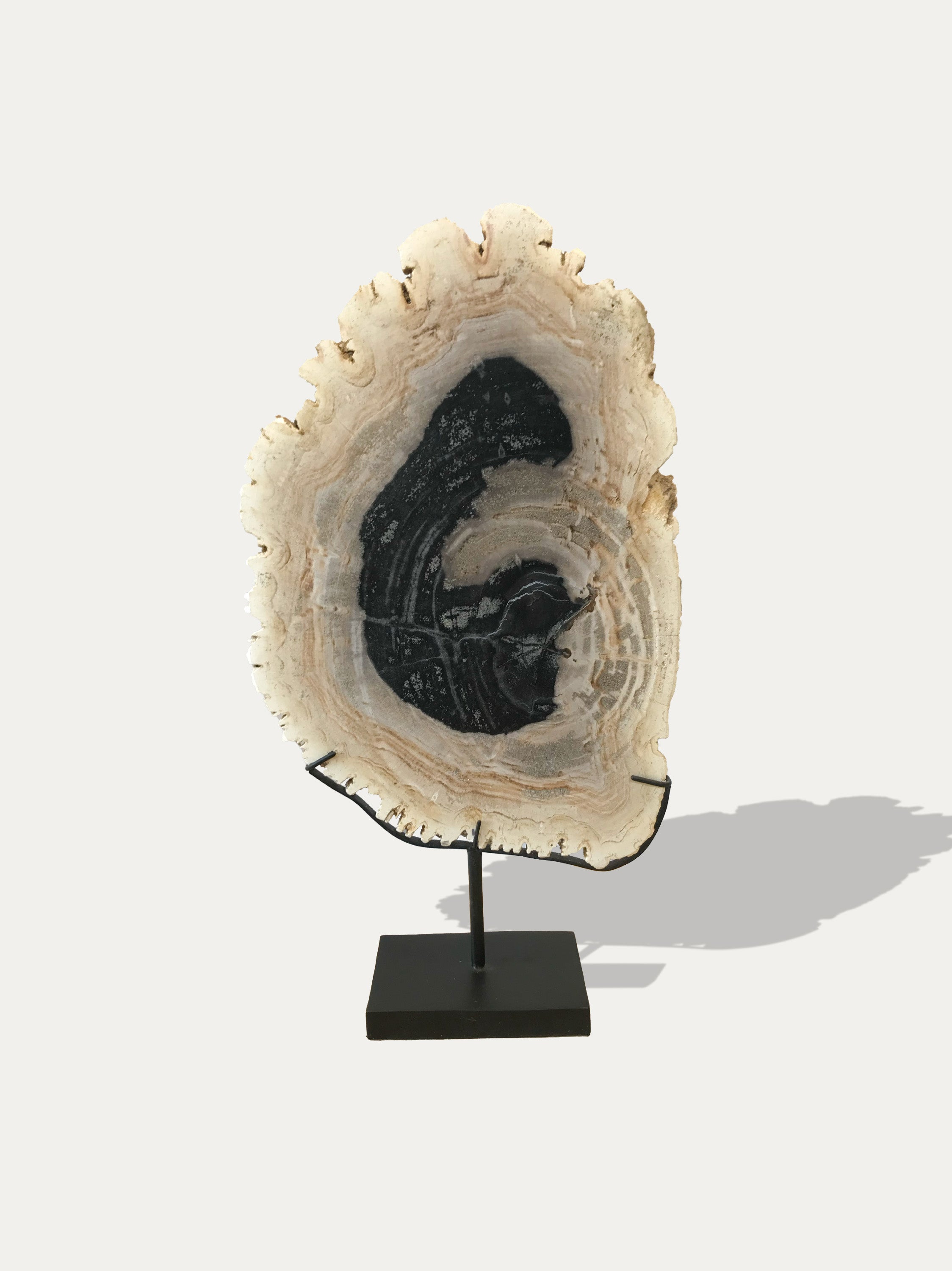 Petrified Wood Sculpture and Tray