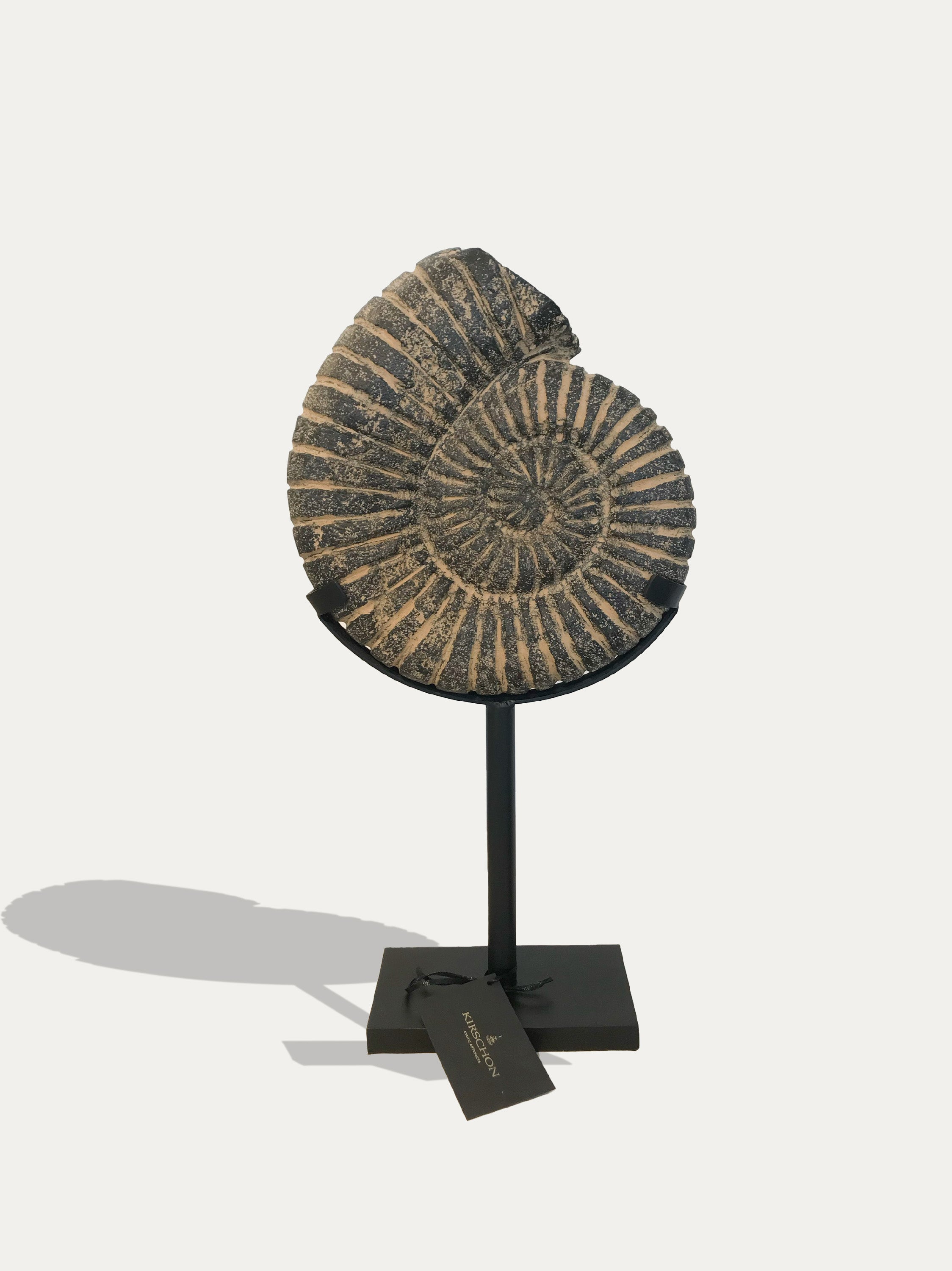 Black Ammonite stone statue from Java