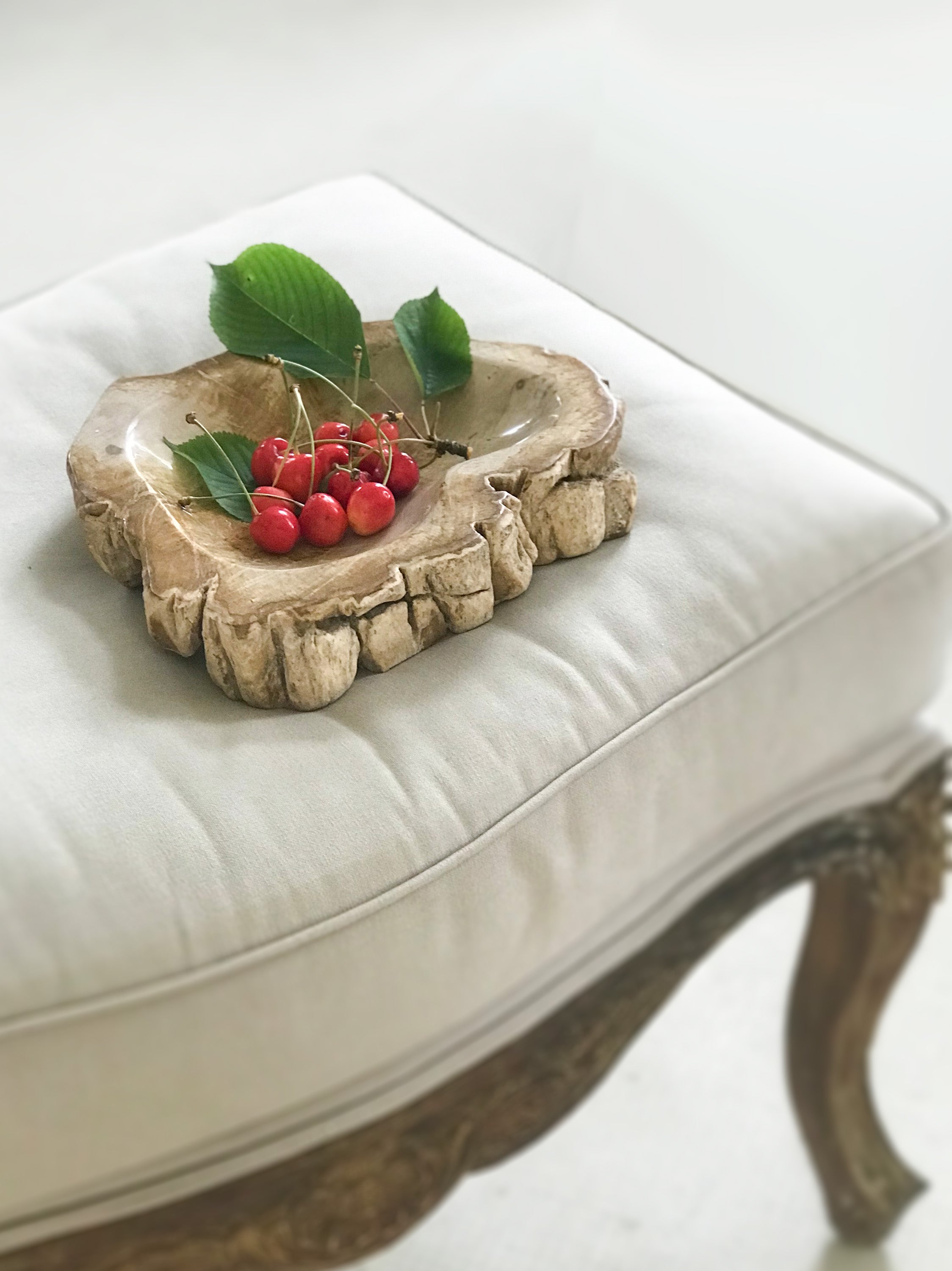 Schale aus versteinertem Holz