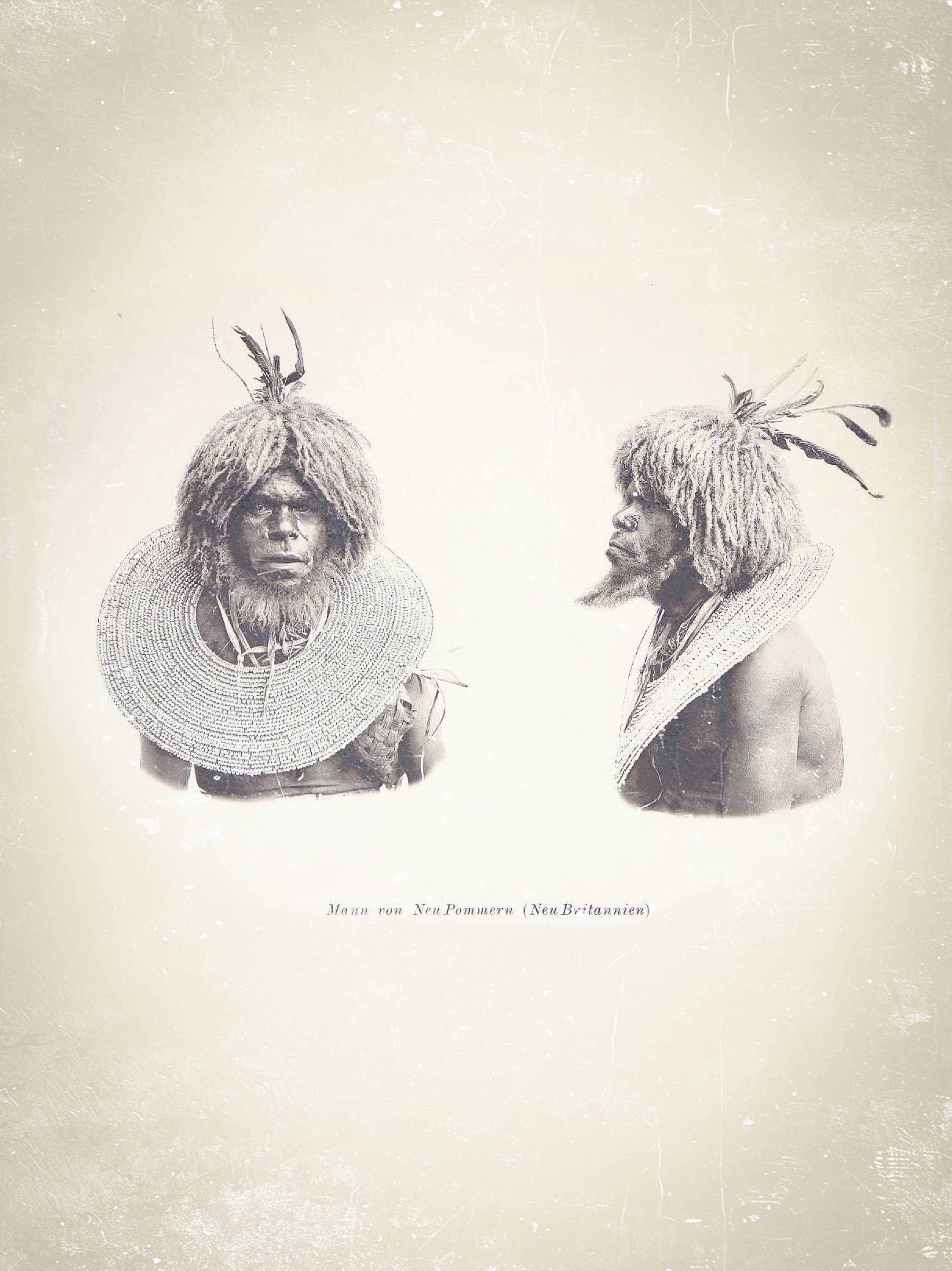 Tribal Cowrie Shell Necklace from Papua