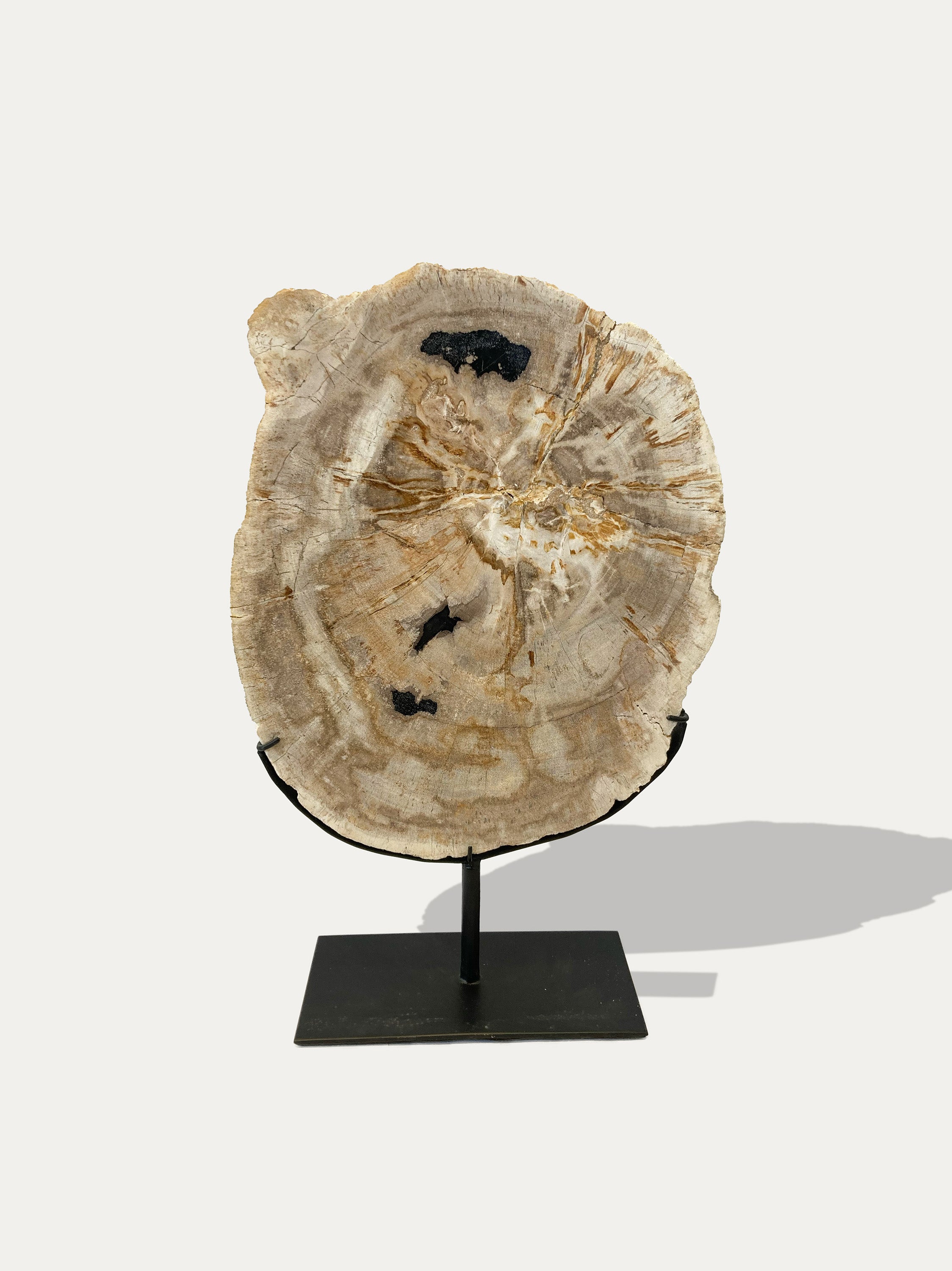 Petrified Wood Sculpture and Tray