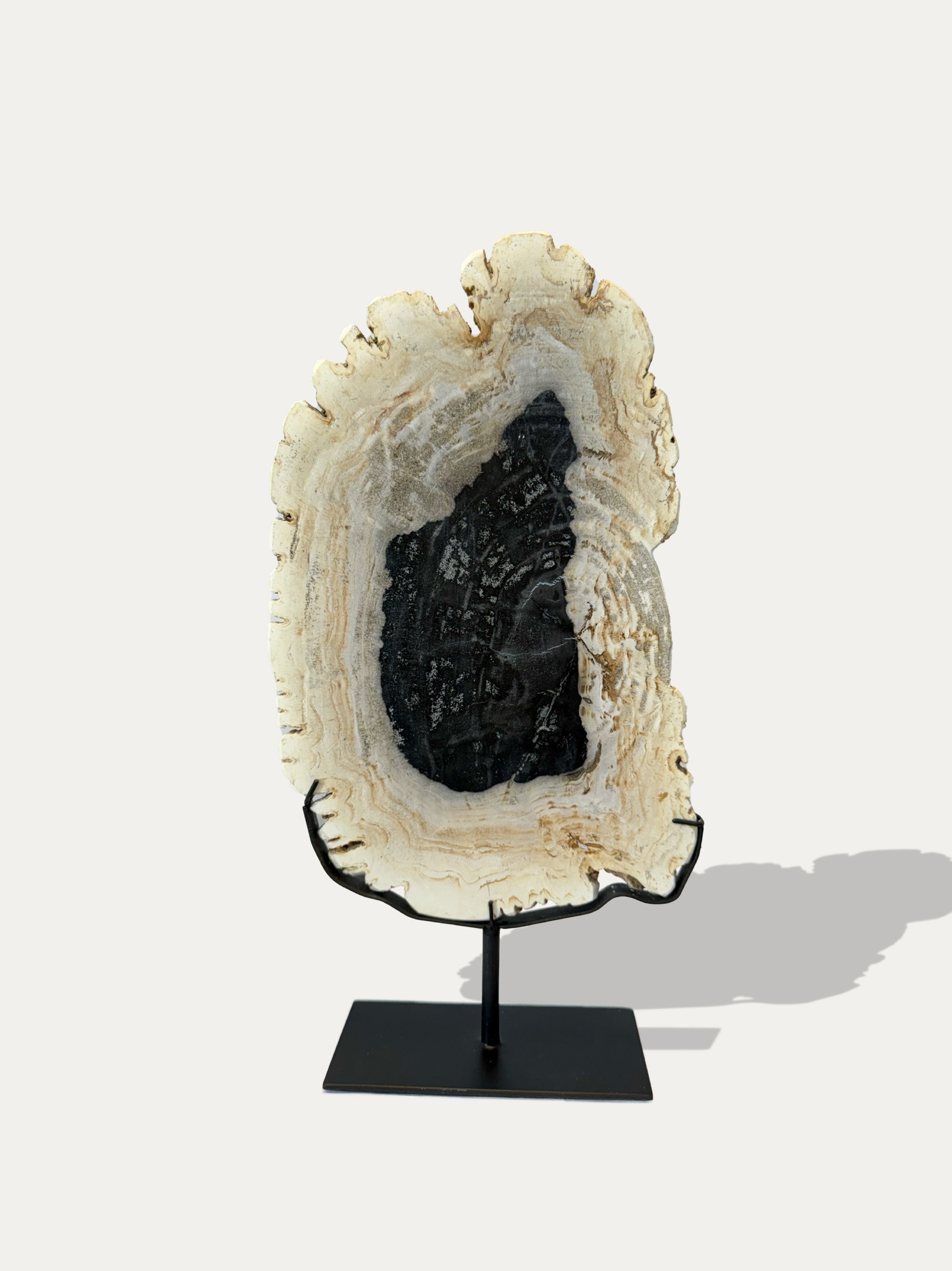 Scultura e Vassoio in Legno Pietrificato