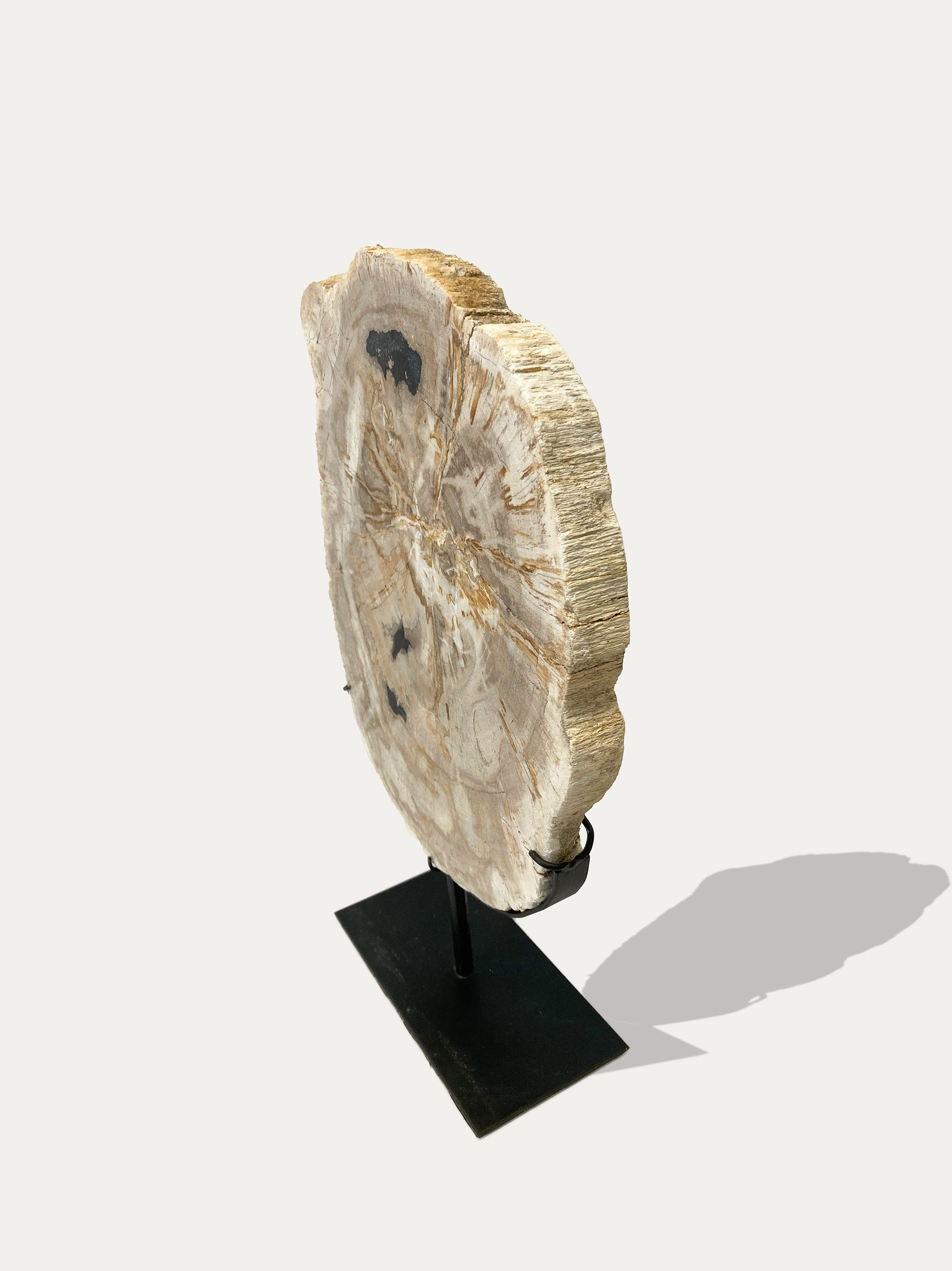 Petrified Wood Sculpture and Tray
