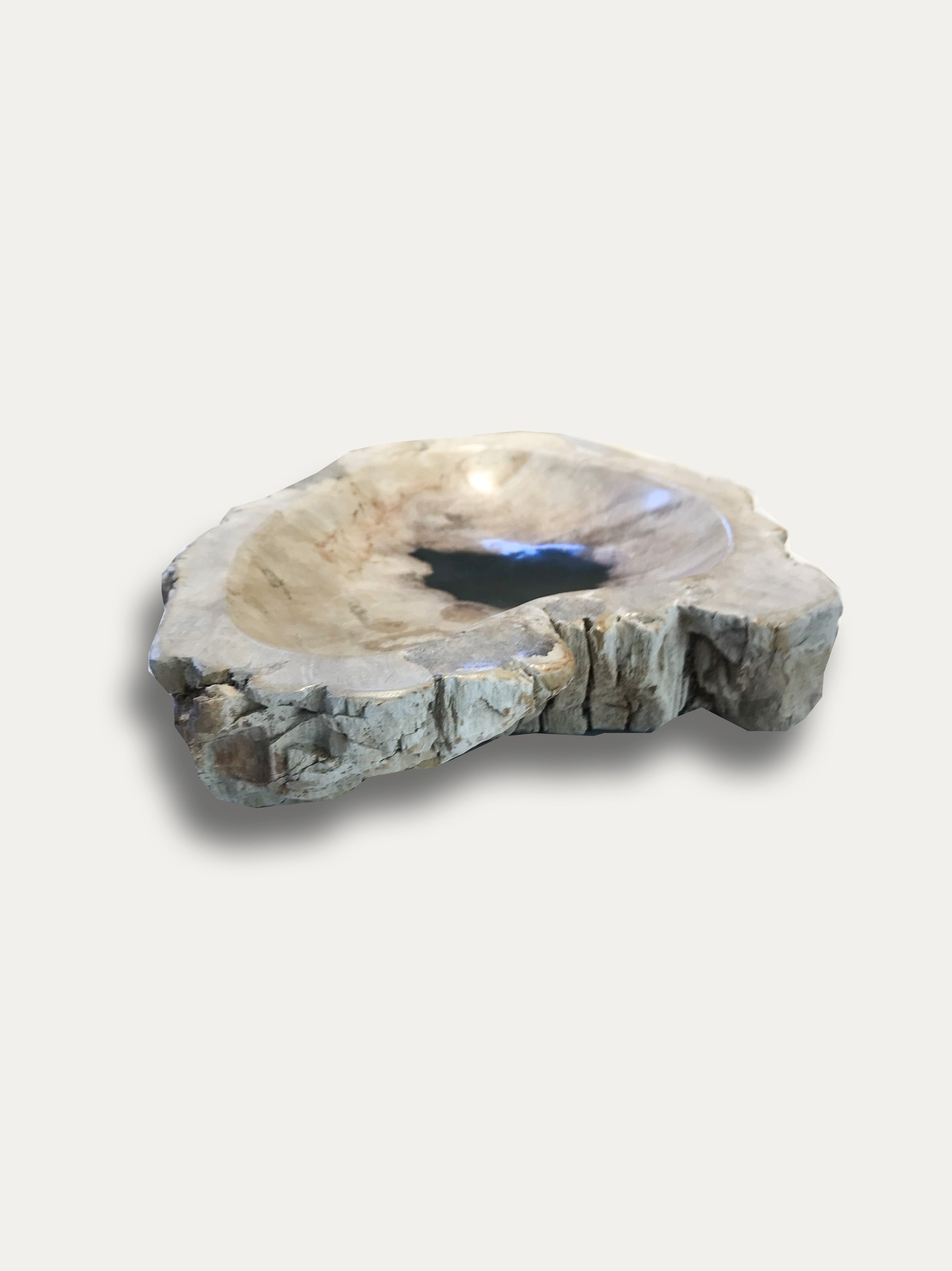 Petrified wood bowl