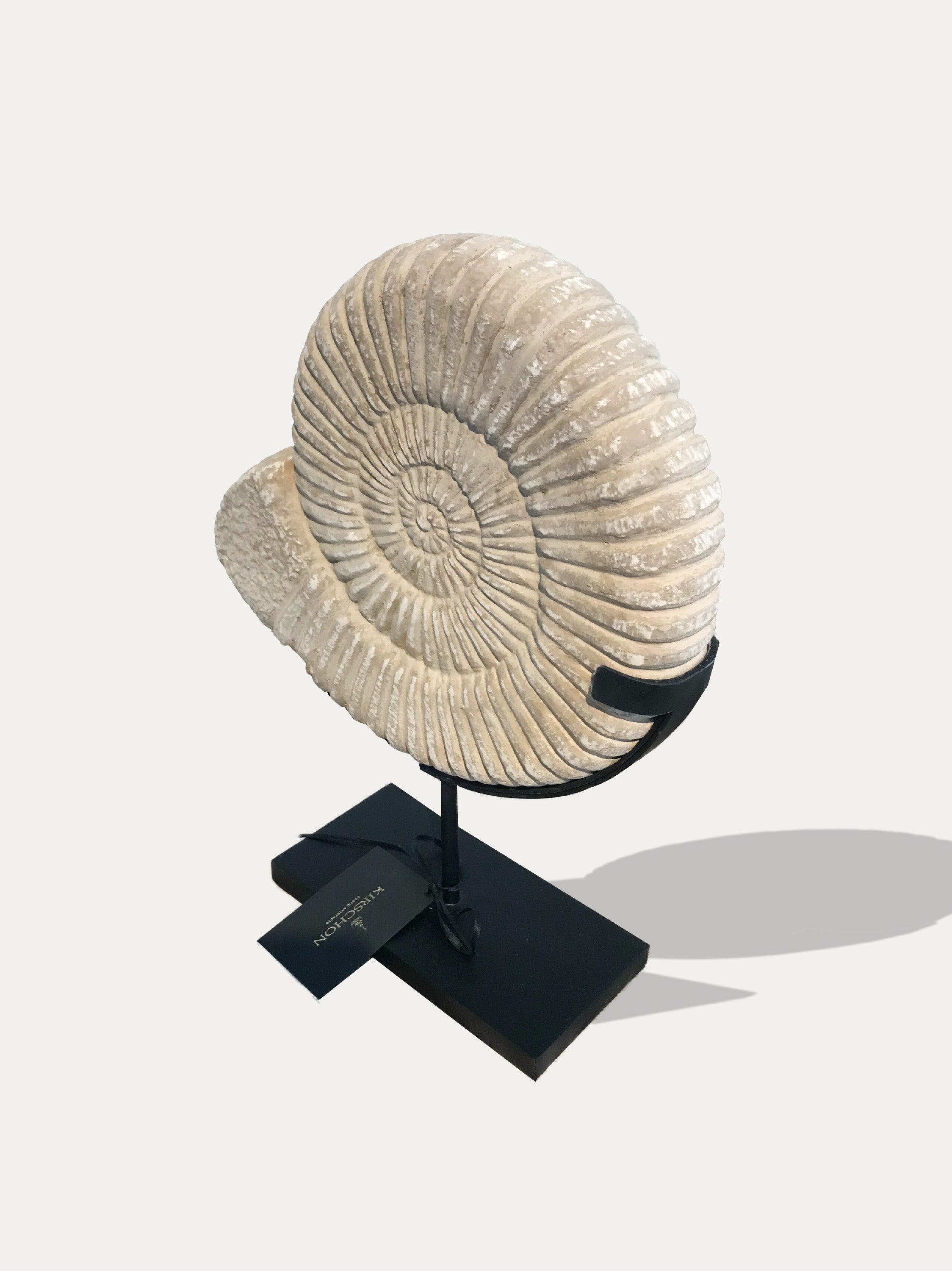 Ammonite stone statues. Asian art from Kirschon.com