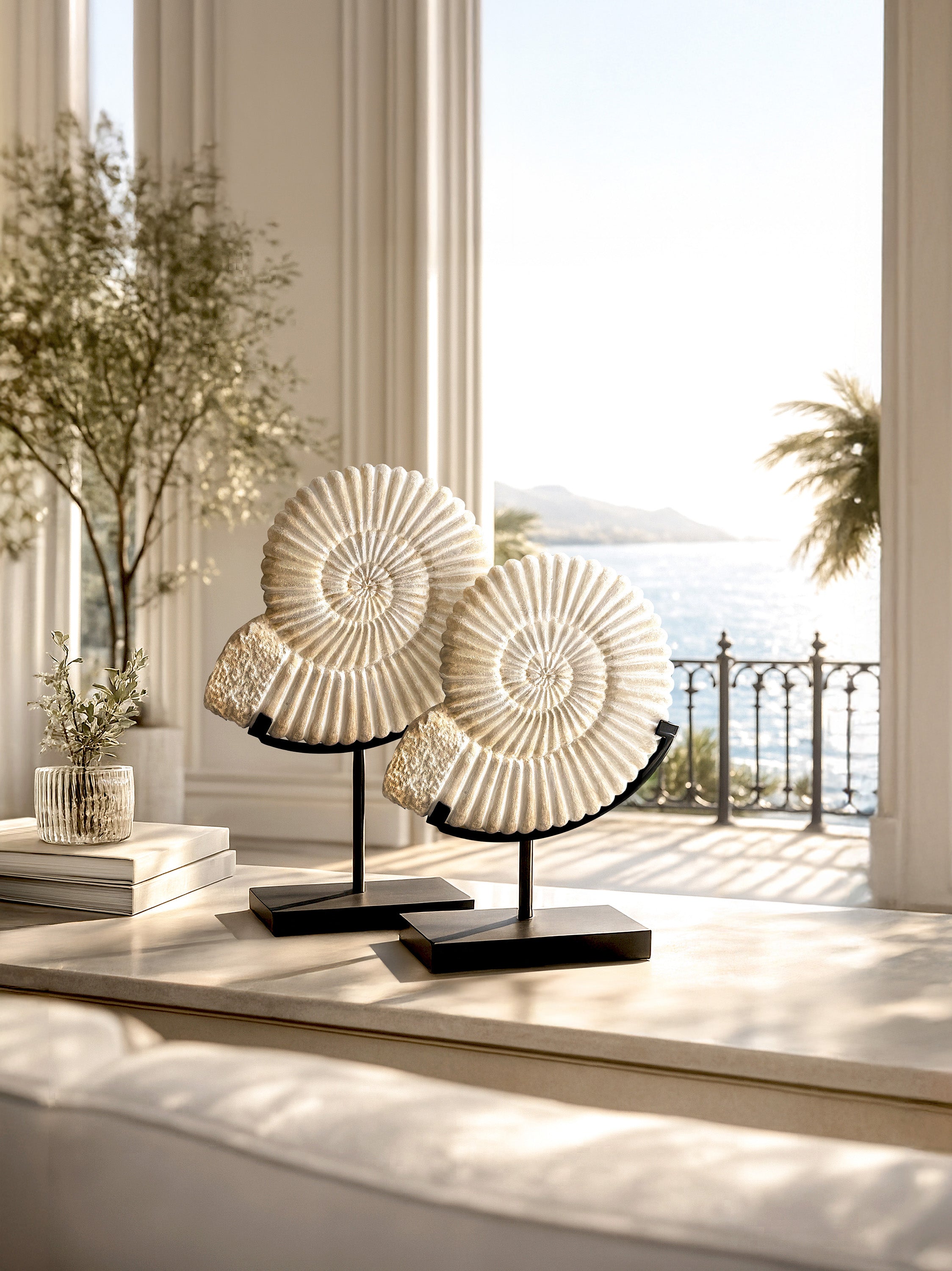 Set di 2 statue di Ammonite di Java