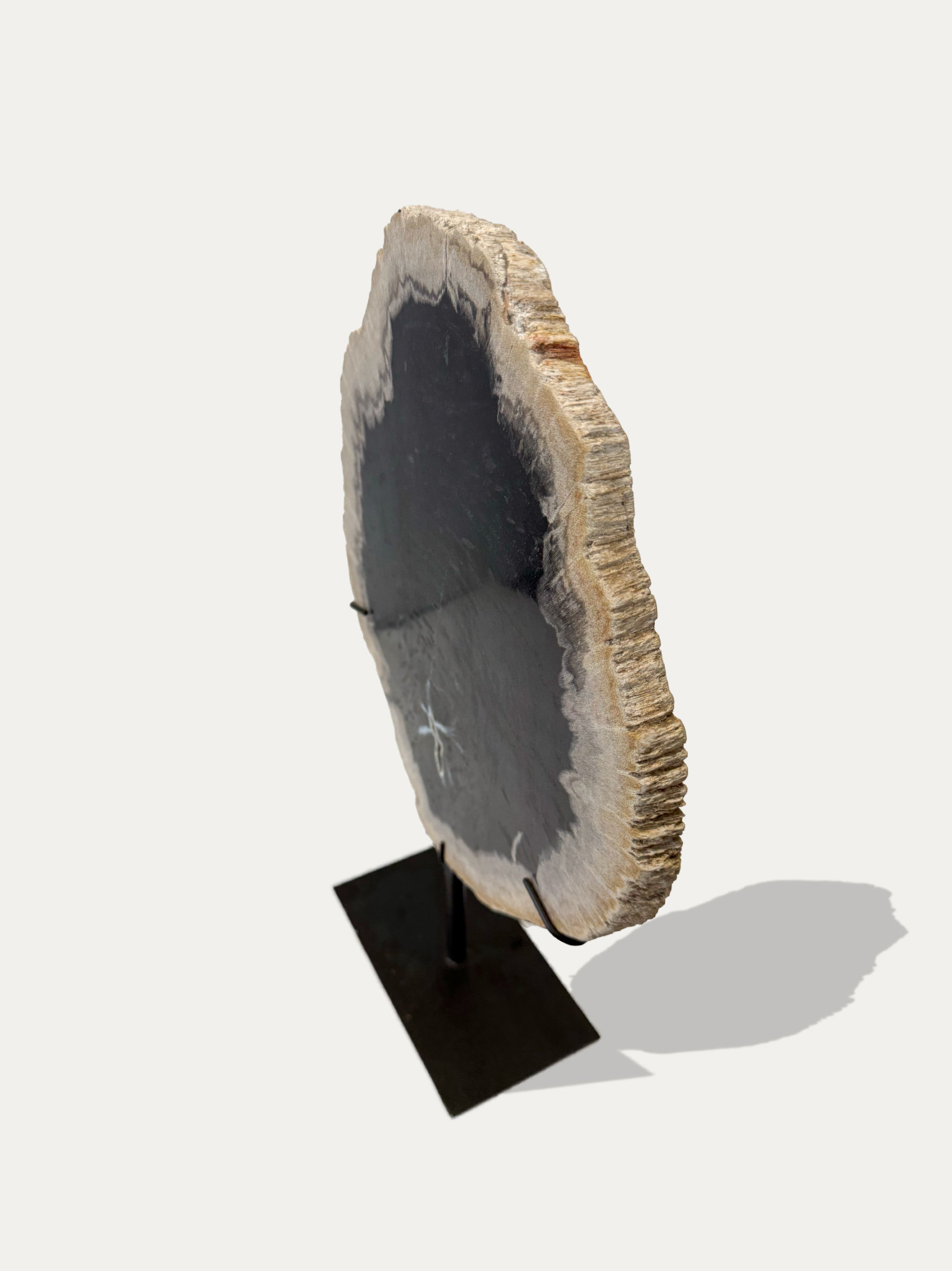 Sculpture et plateau en bois pétrifié