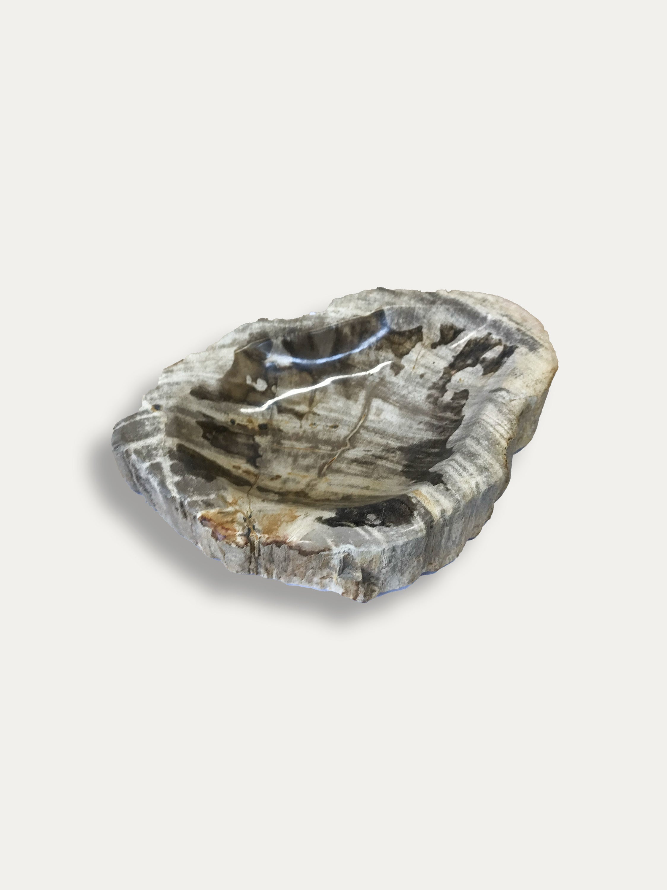 Petrified wood bowl
