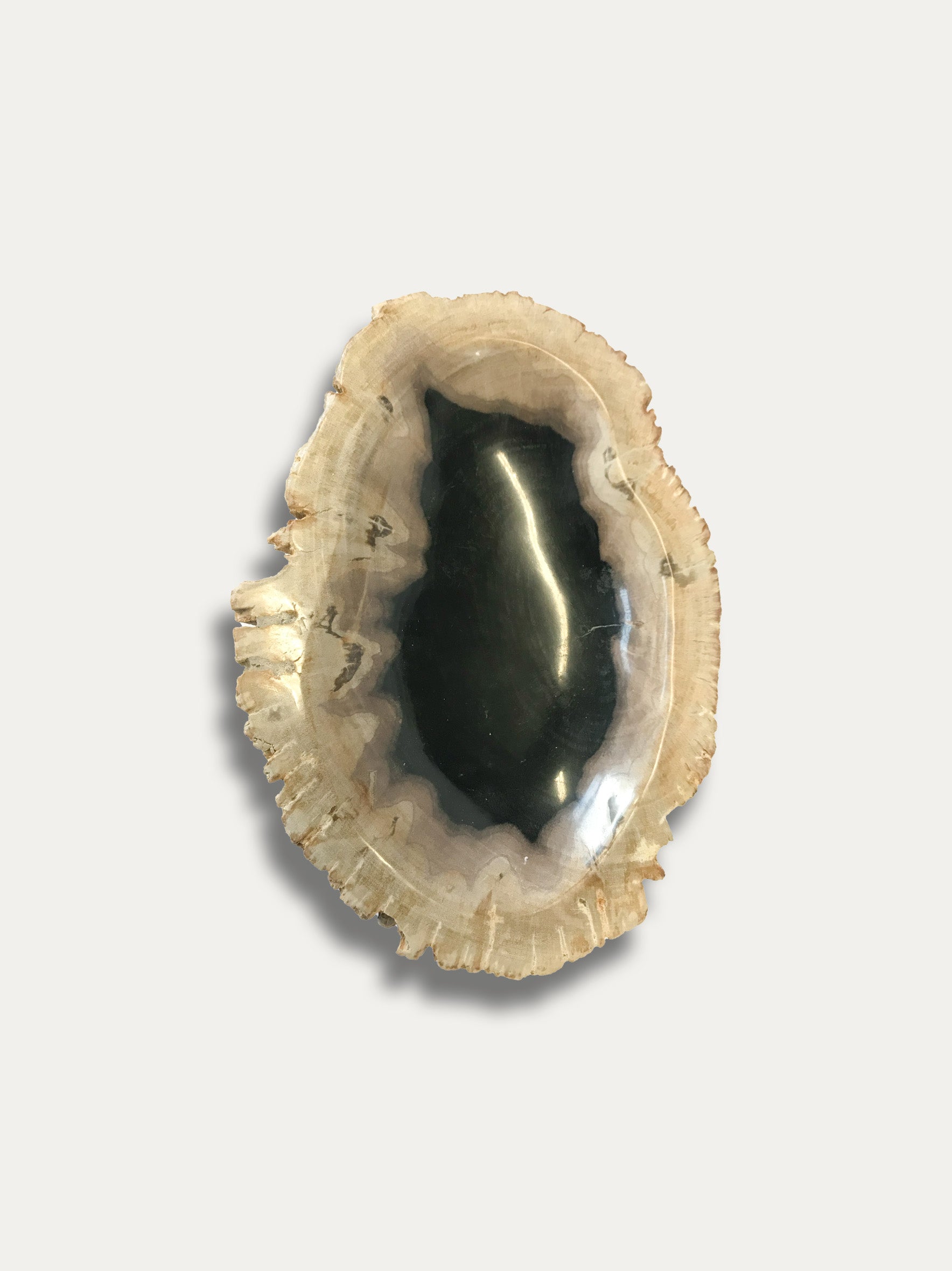 Schale aus versteinertem Holz