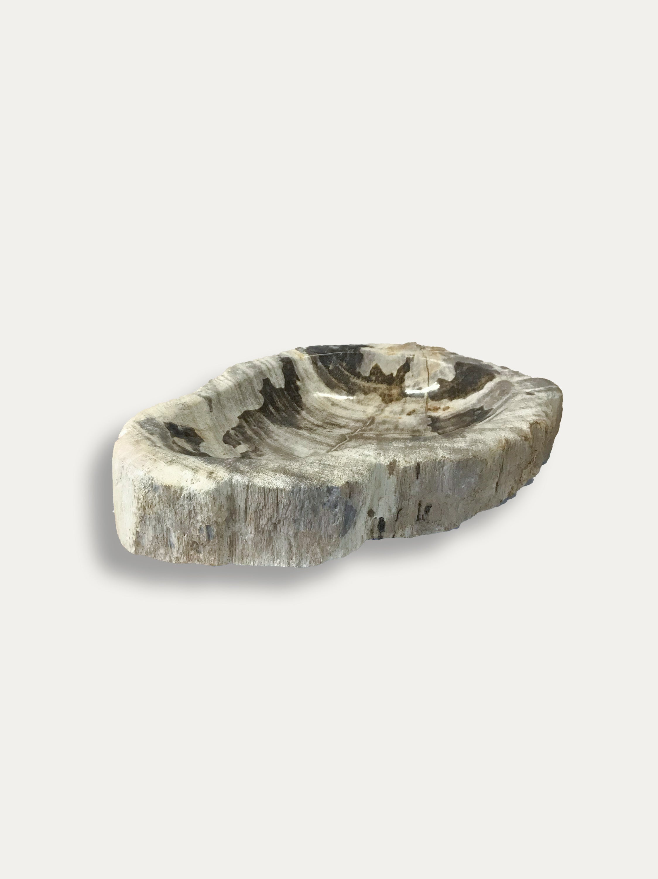 Petrified wood bowl