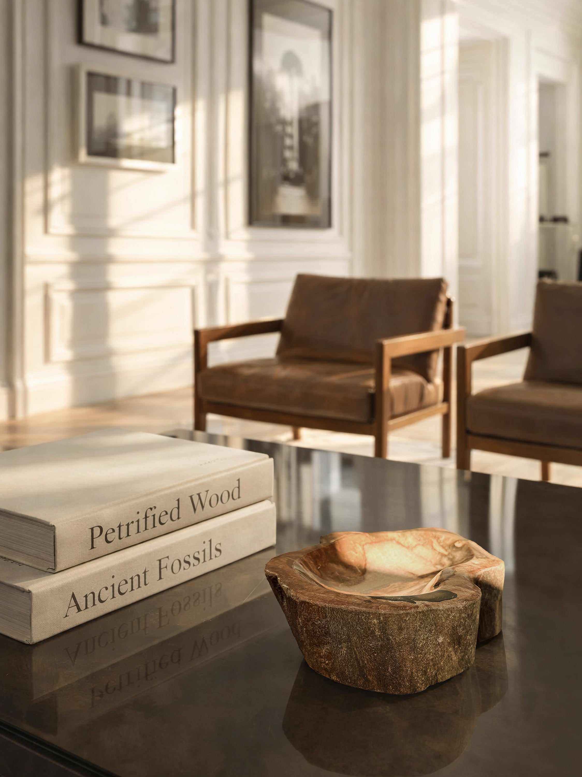 Ciotola in legno pietrifcato millenario