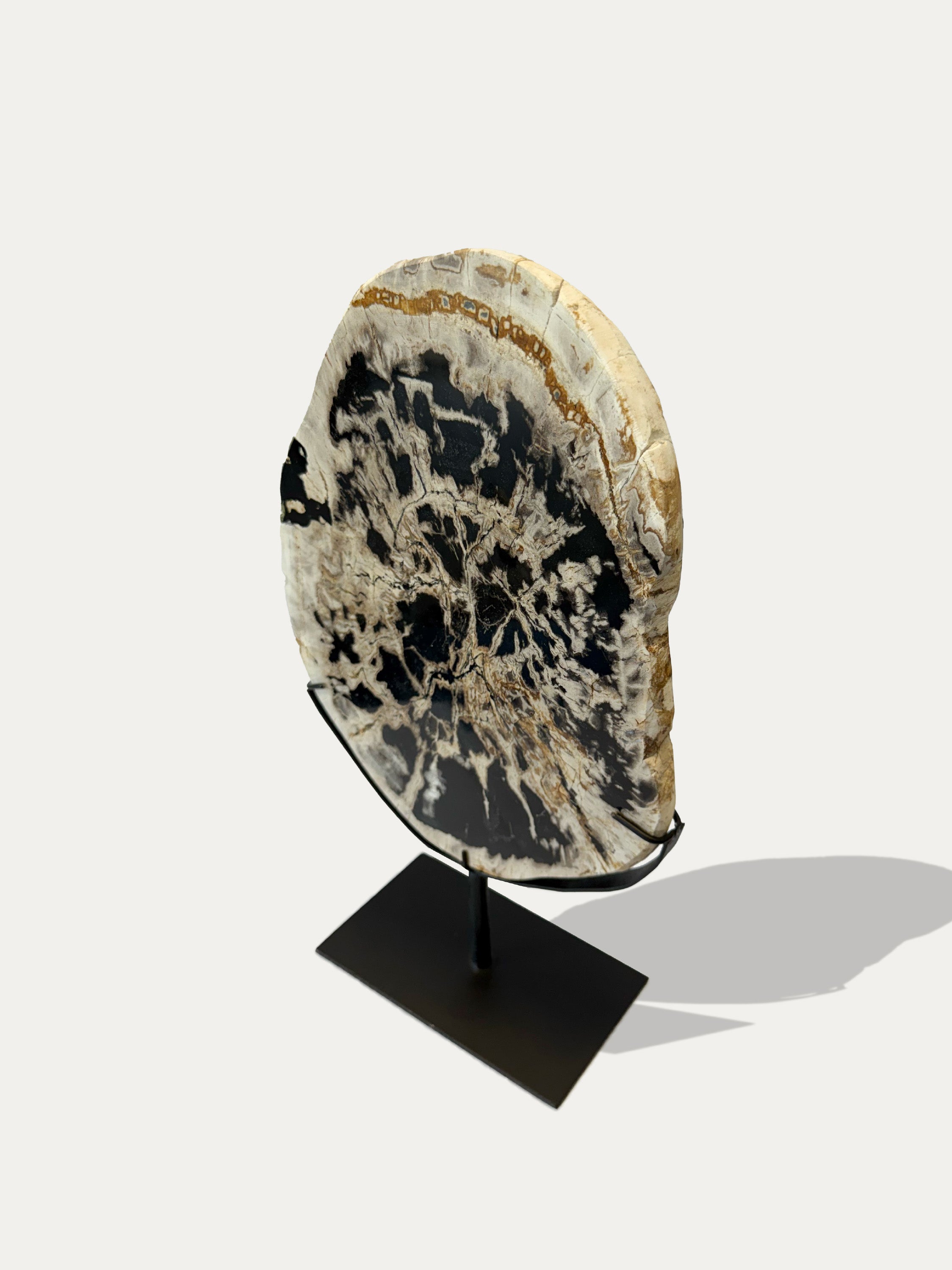 Versteinerte Holzskulptur und Tablett