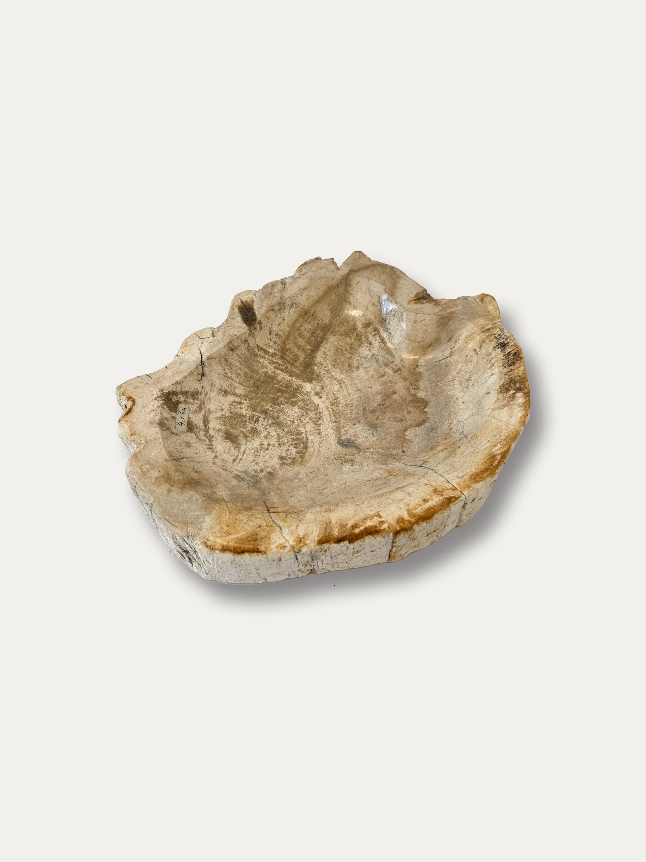 Petrified Wood Bowl
