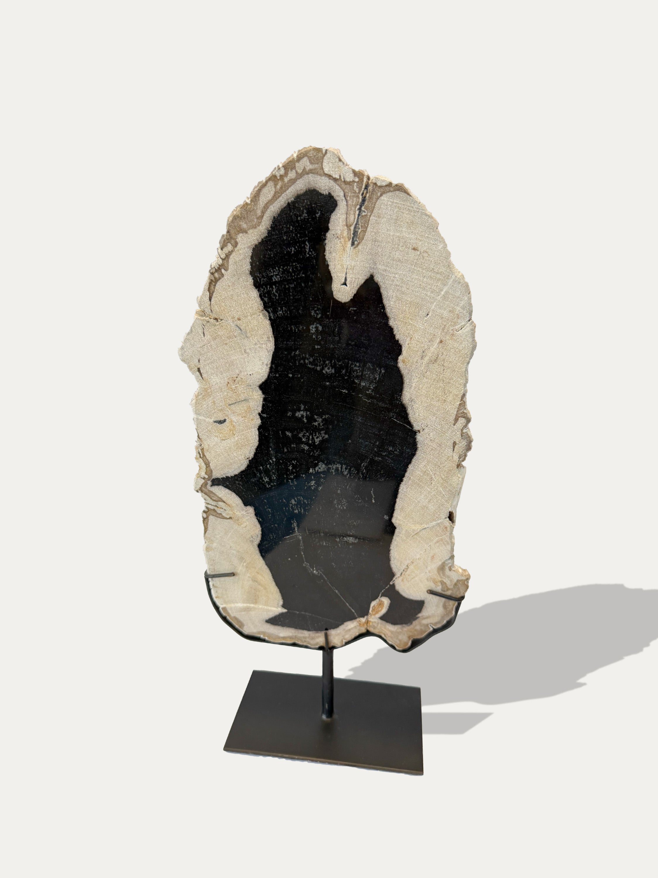 Scultura e Vassoio in Legno Pietrificato