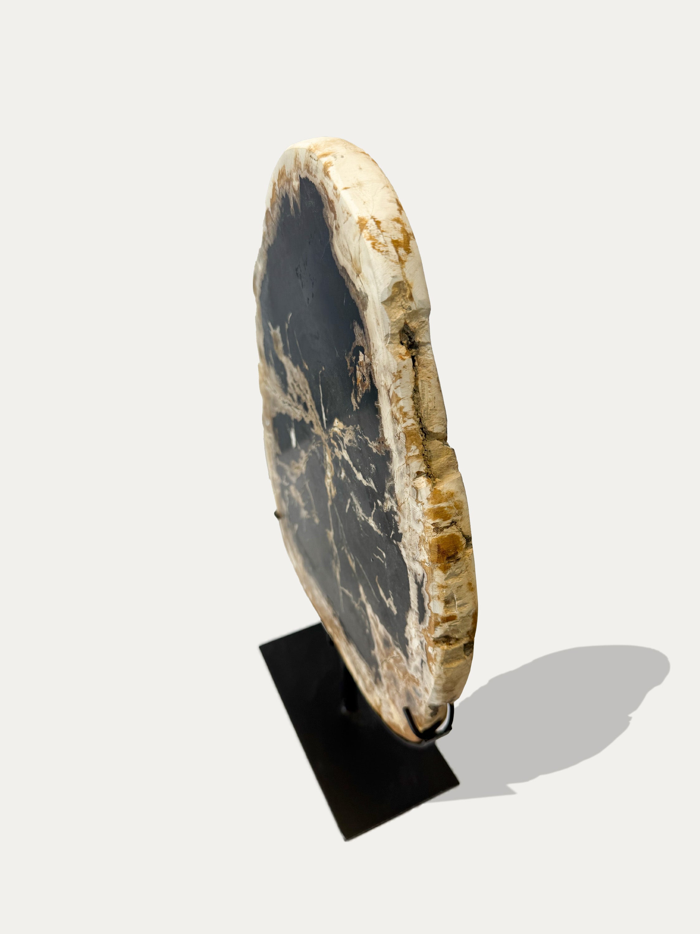 Scultura e Vassoio in Legno Pietrificato