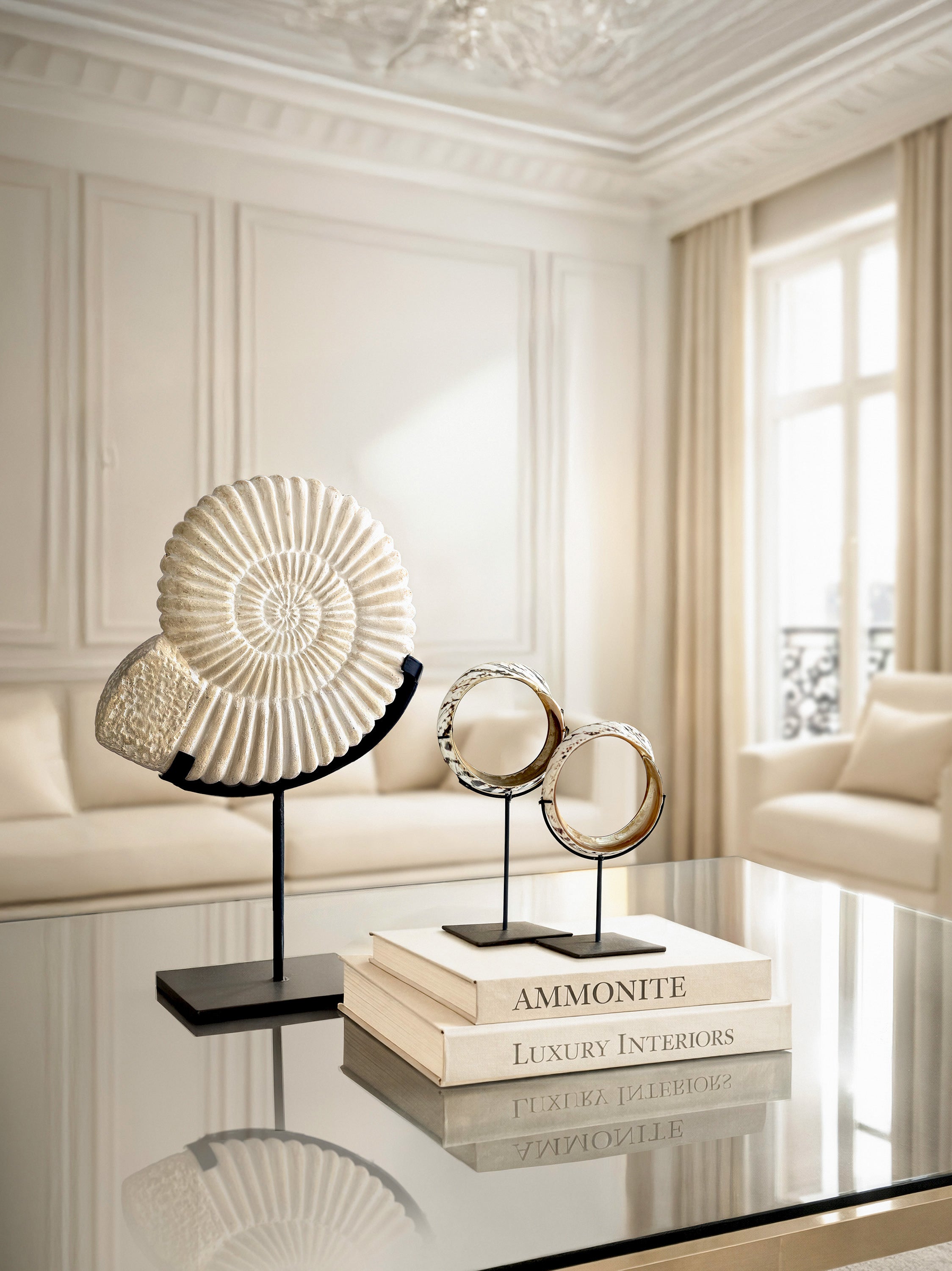 excellence-fortune-bundle-ammonite-money-rings-kirschon-lake-como