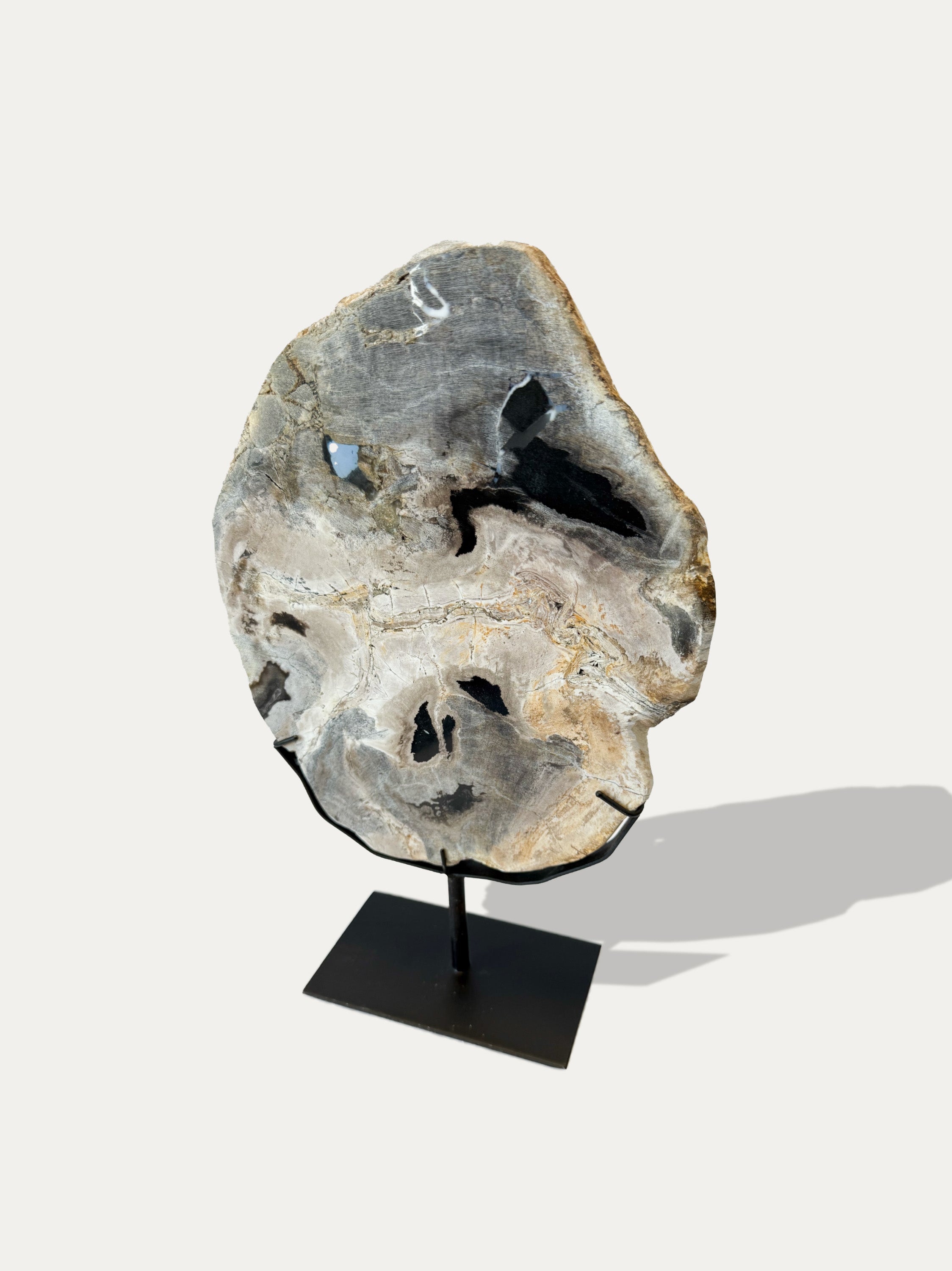 Scultura e Vassoio in Legno Pietrificato