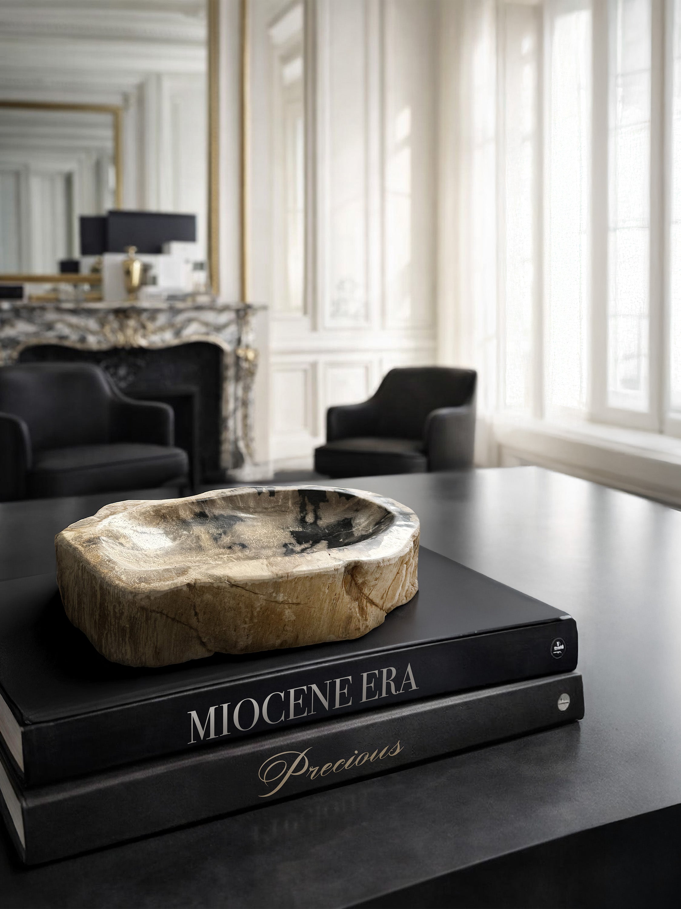 fossil-wood-bowl-hand-polished-organic-decor-kirschon-como