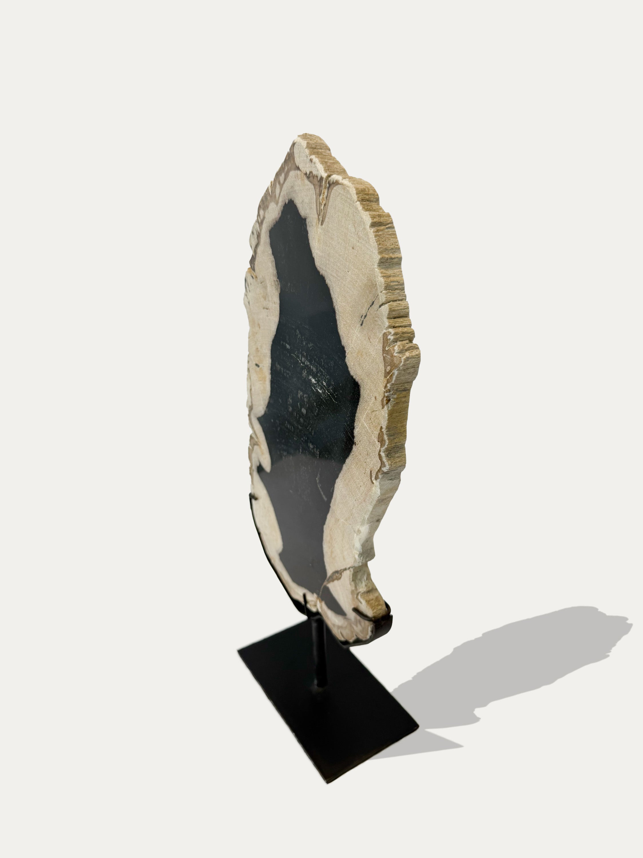 Scultura e Vassoio in Legno Pietrificato