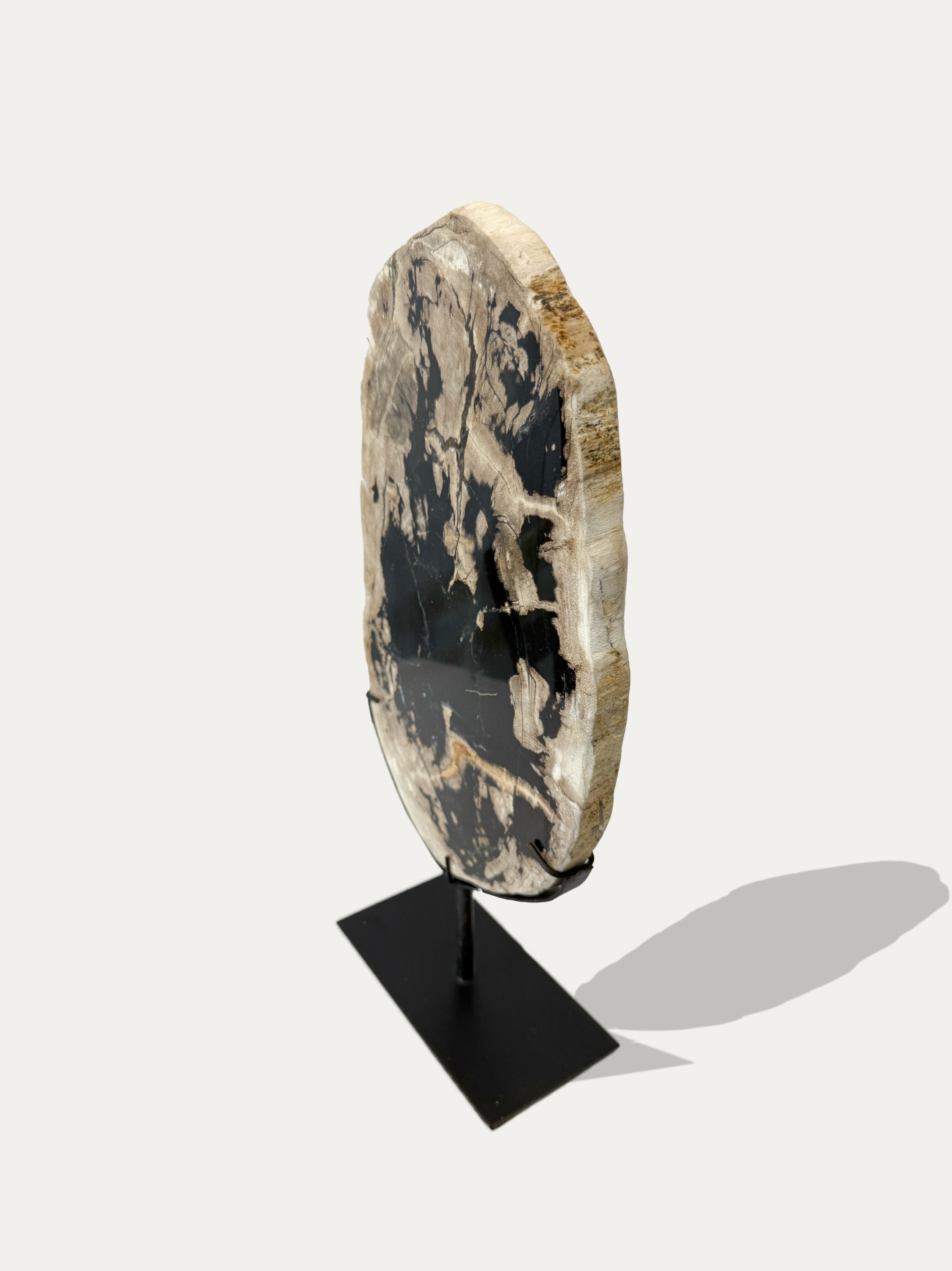 Scultura e Vassoio in Legno Pietrificato