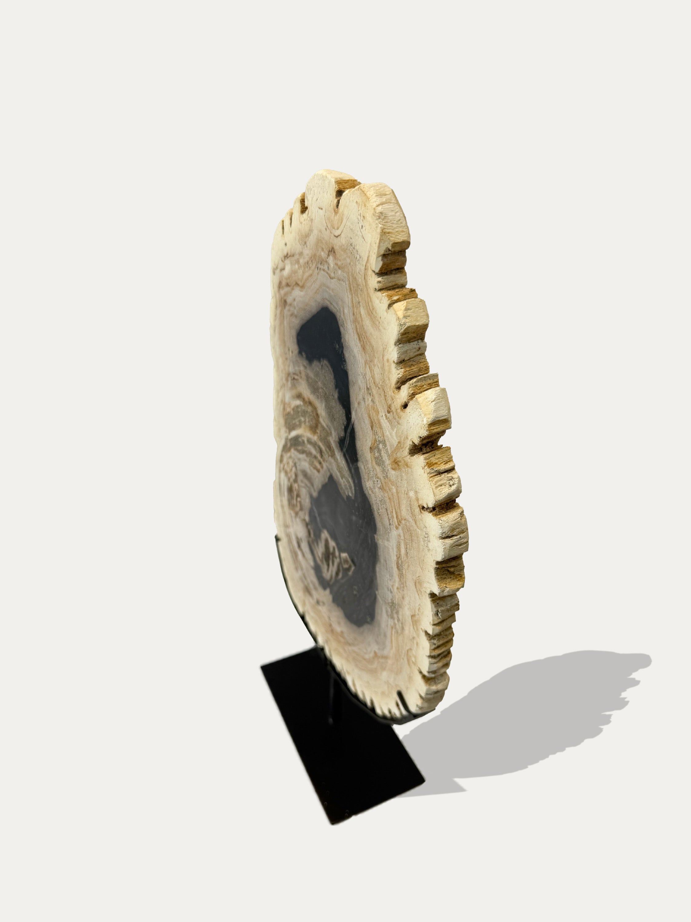 Scultura e Vassoio in Legno Pietrificato