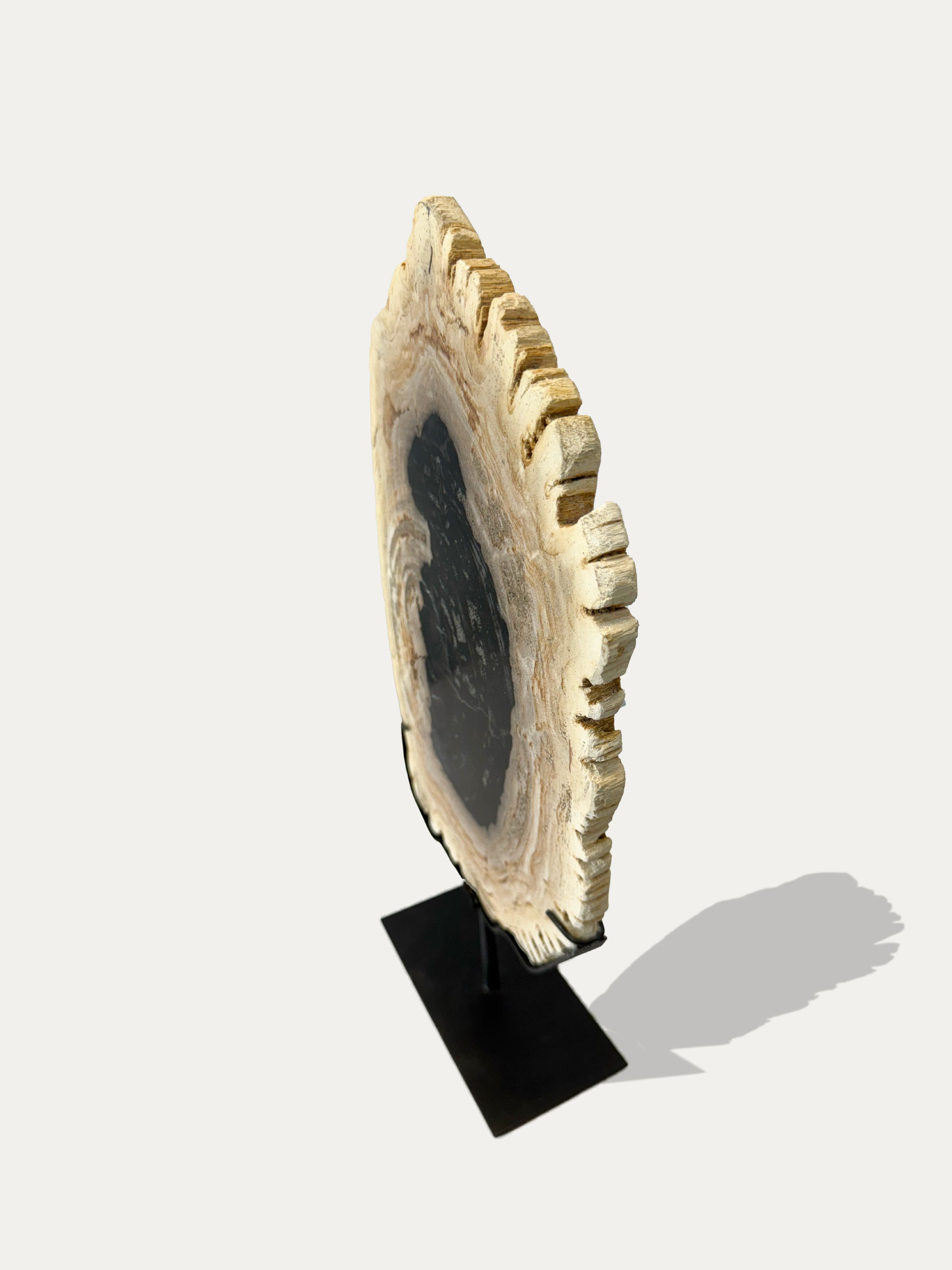 Versteinerte Holzskulptur und Tablett