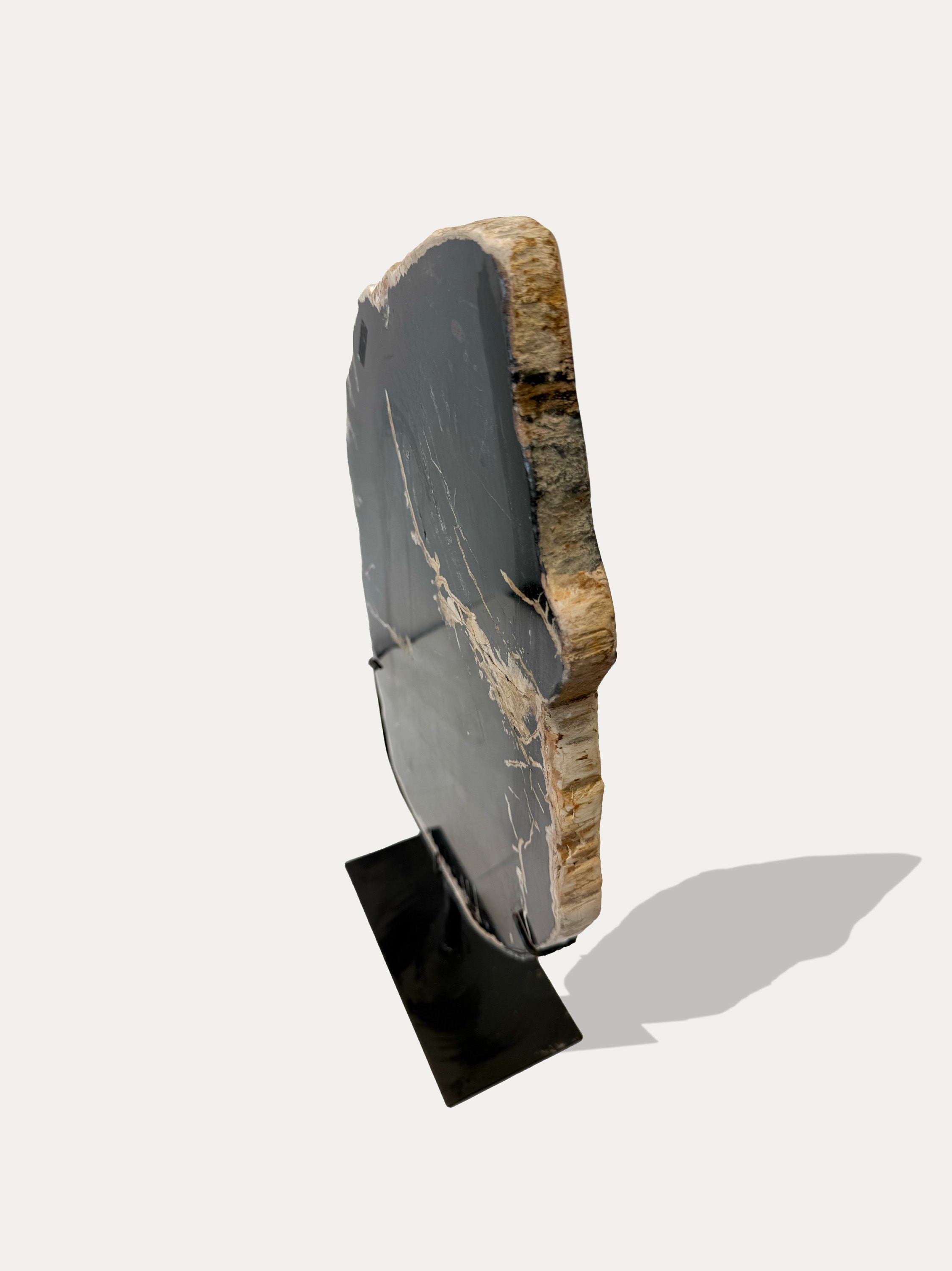 Scultura e Vassoio in Legno Pietrificato