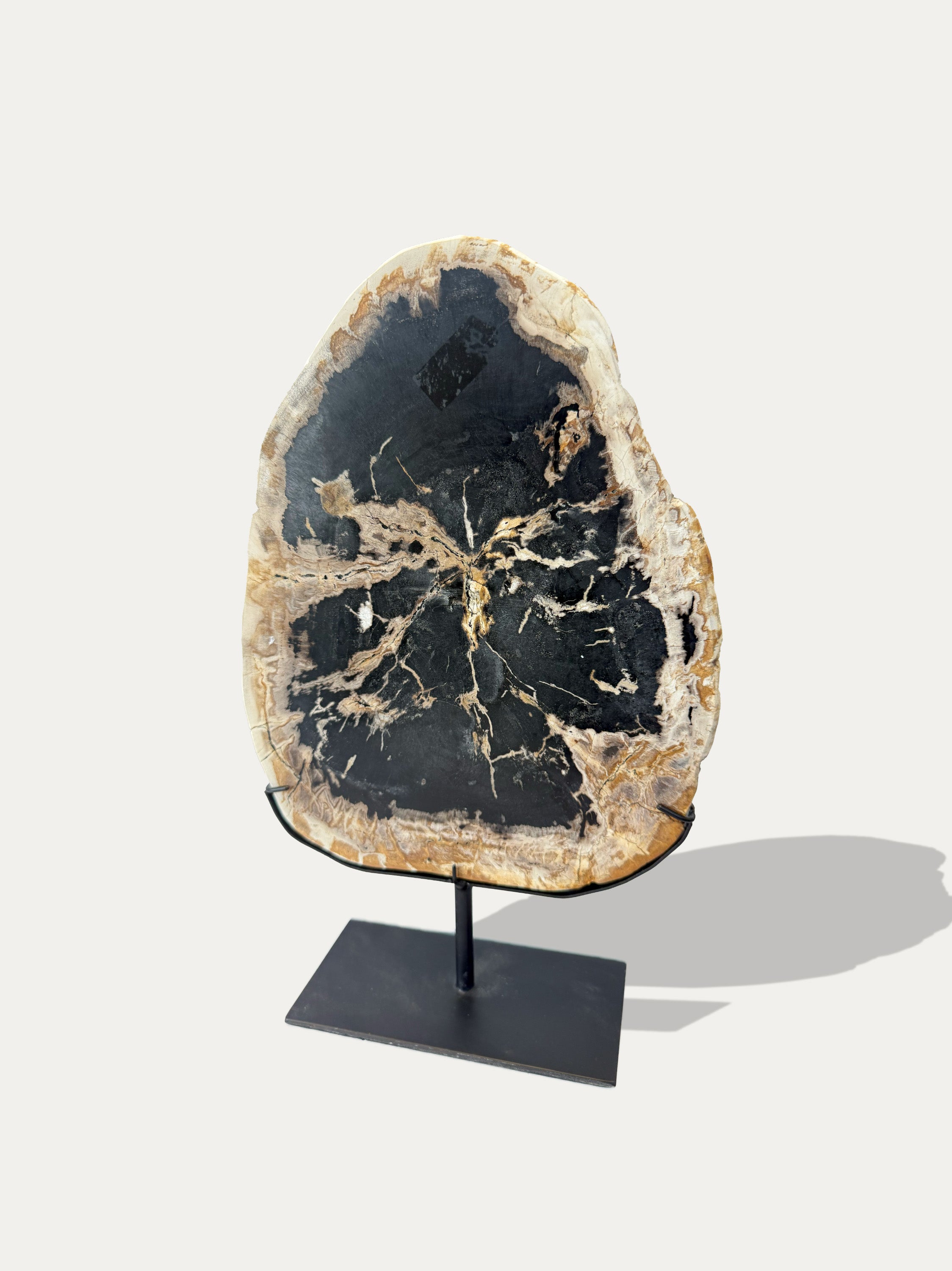 Scultura e Vassoio in Legno Pietrificato