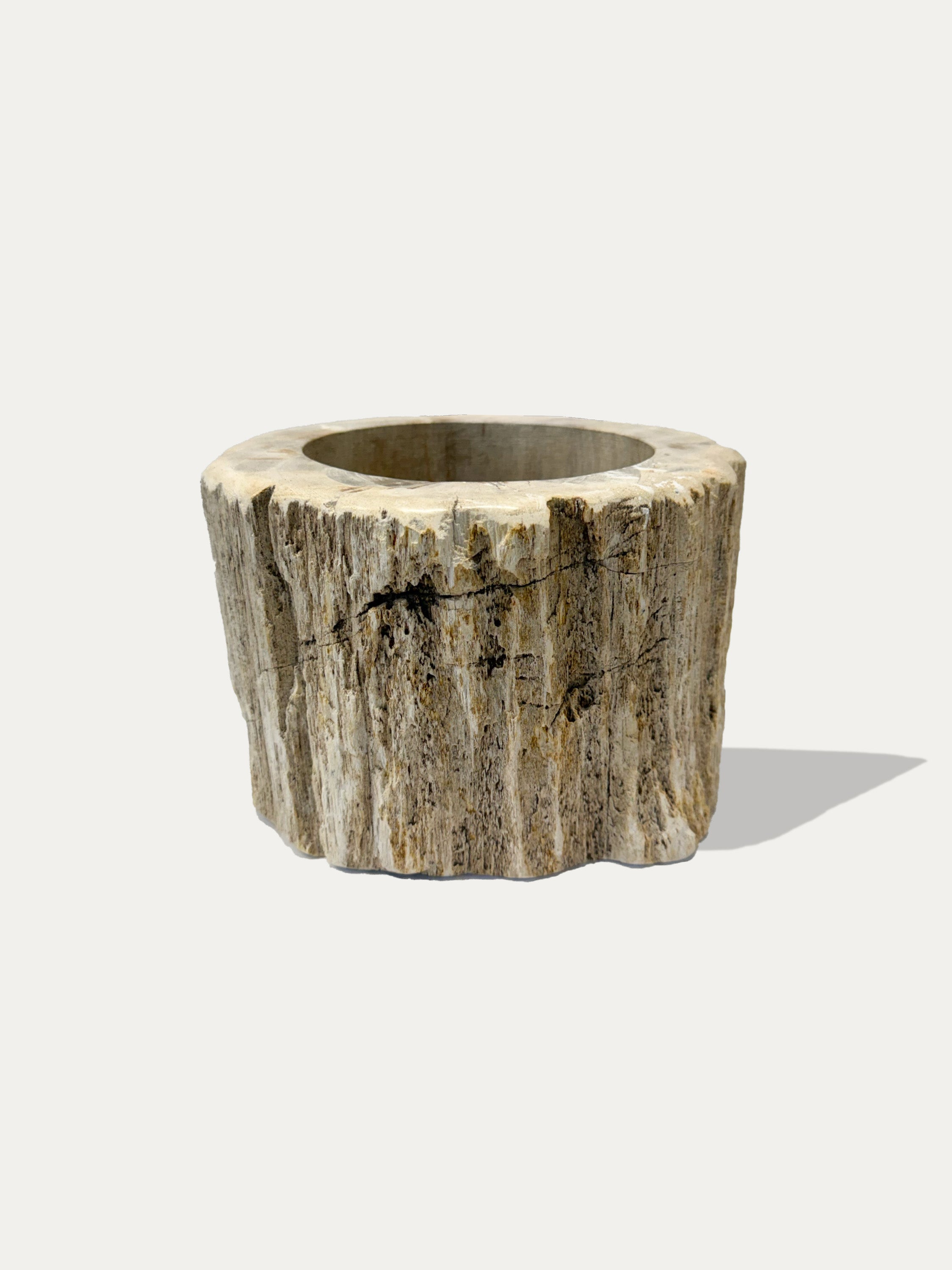 fossil-wood-vase-natural-stone-home-decor-lake-como