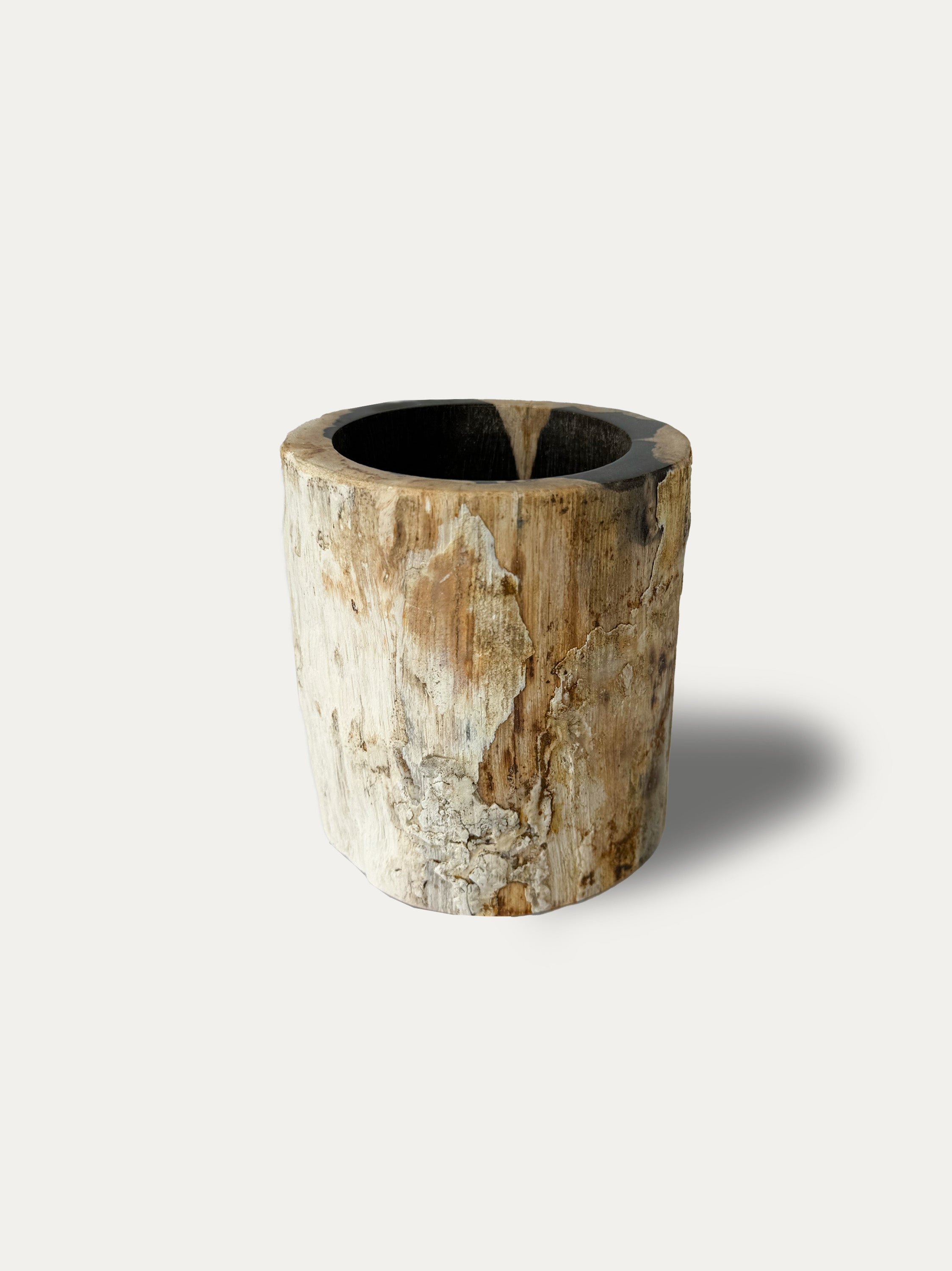 Petrified Wood Glass