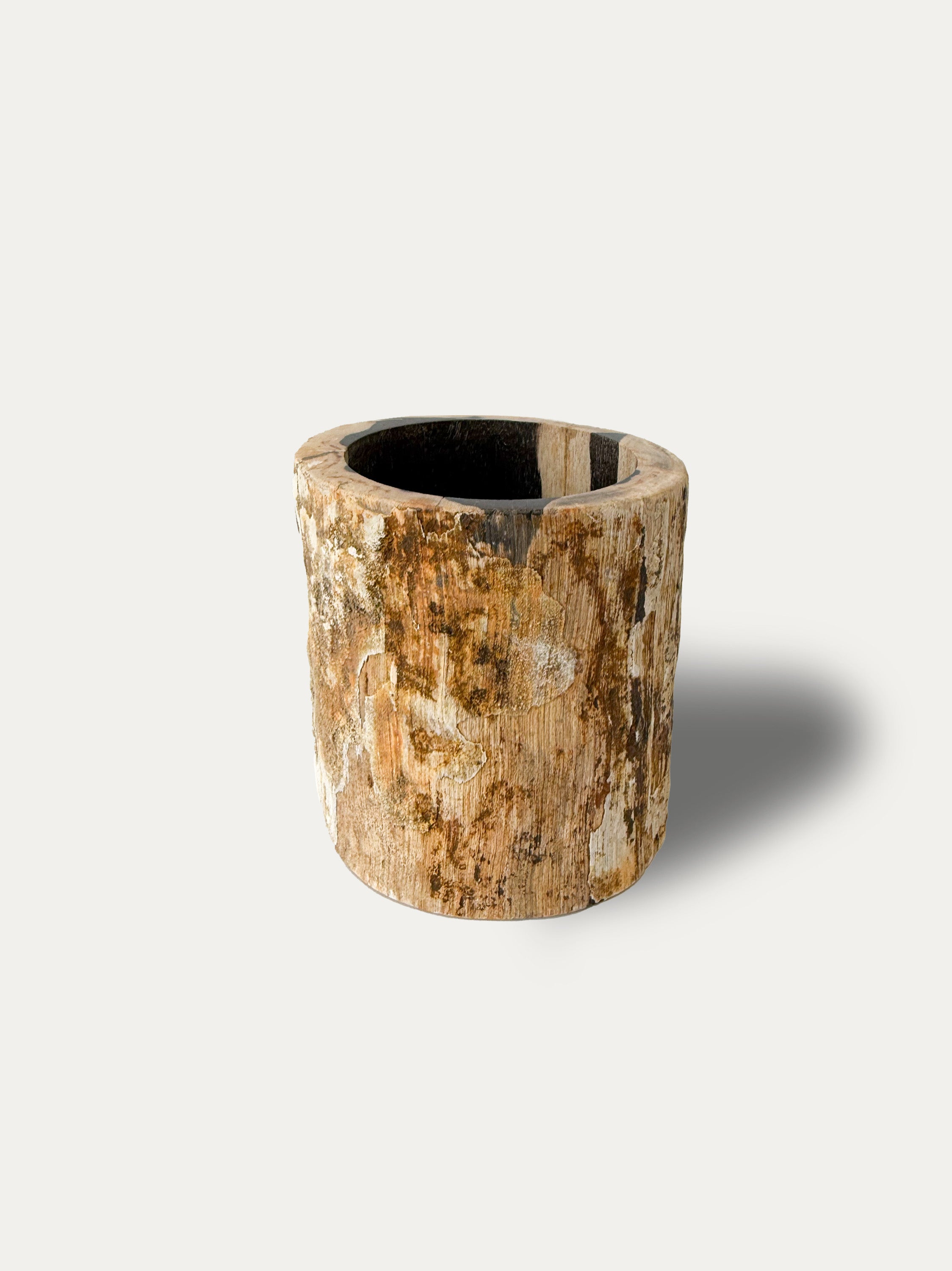 Petrified Wood Glass